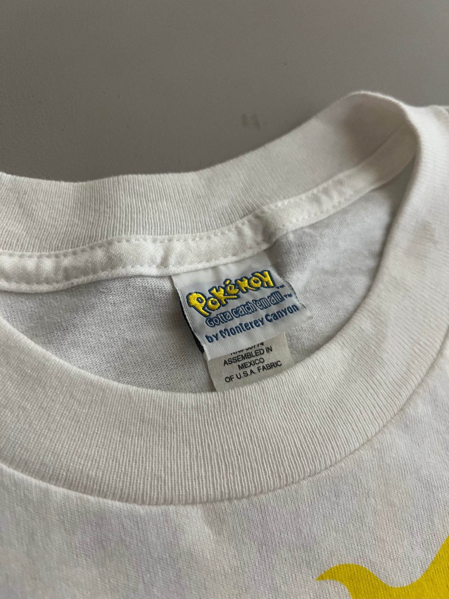 Large 2000 Pokemon Charmeleon Firespin T-shirt