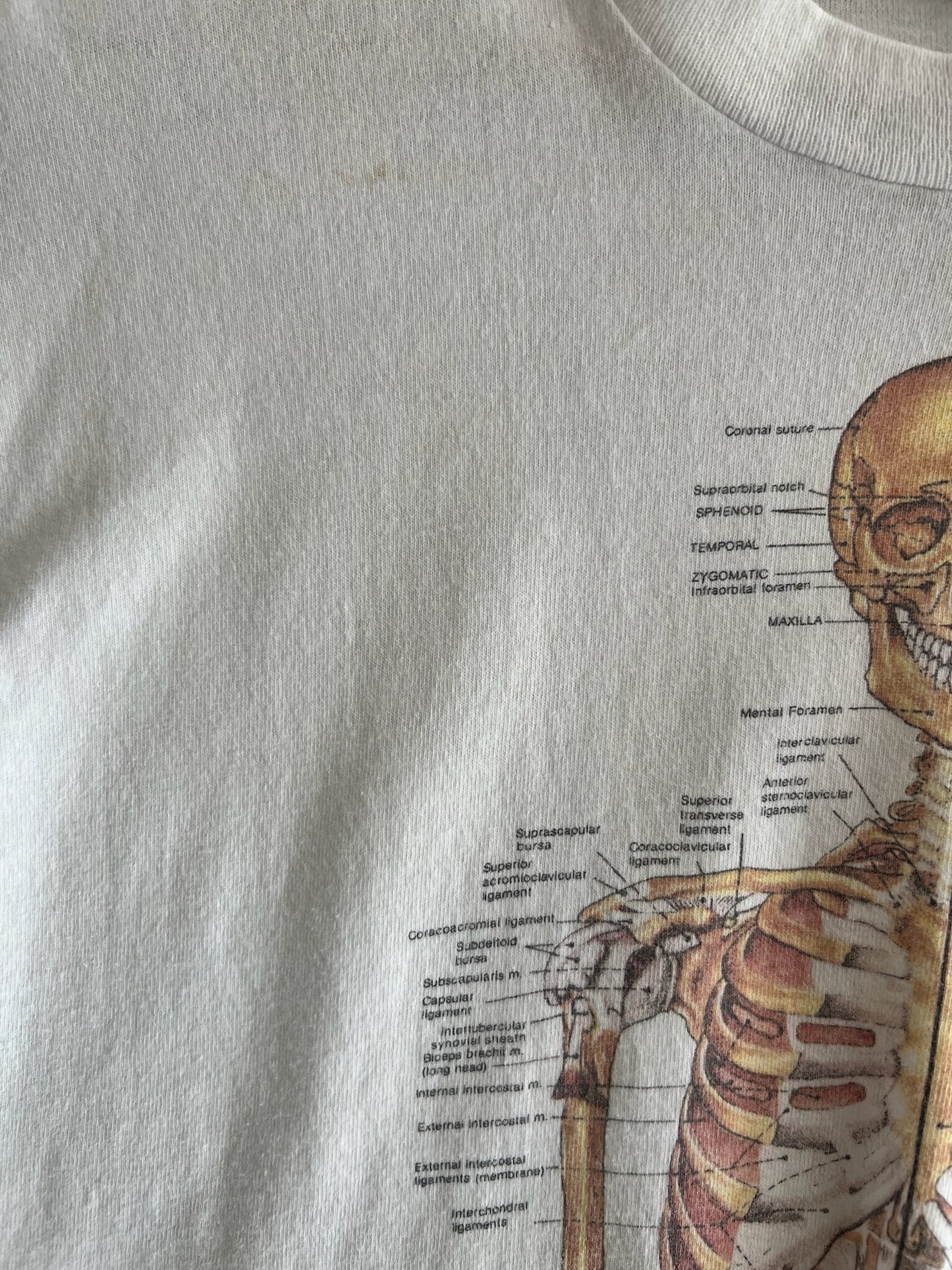 Large 90s Anatomical Skeleton T-shirt