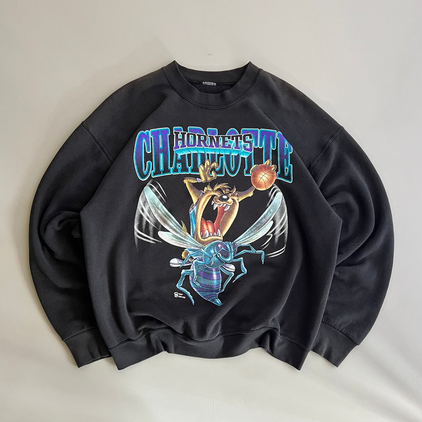 XL 90s Charlotte Hornets Looney Tunes Sweatshirt