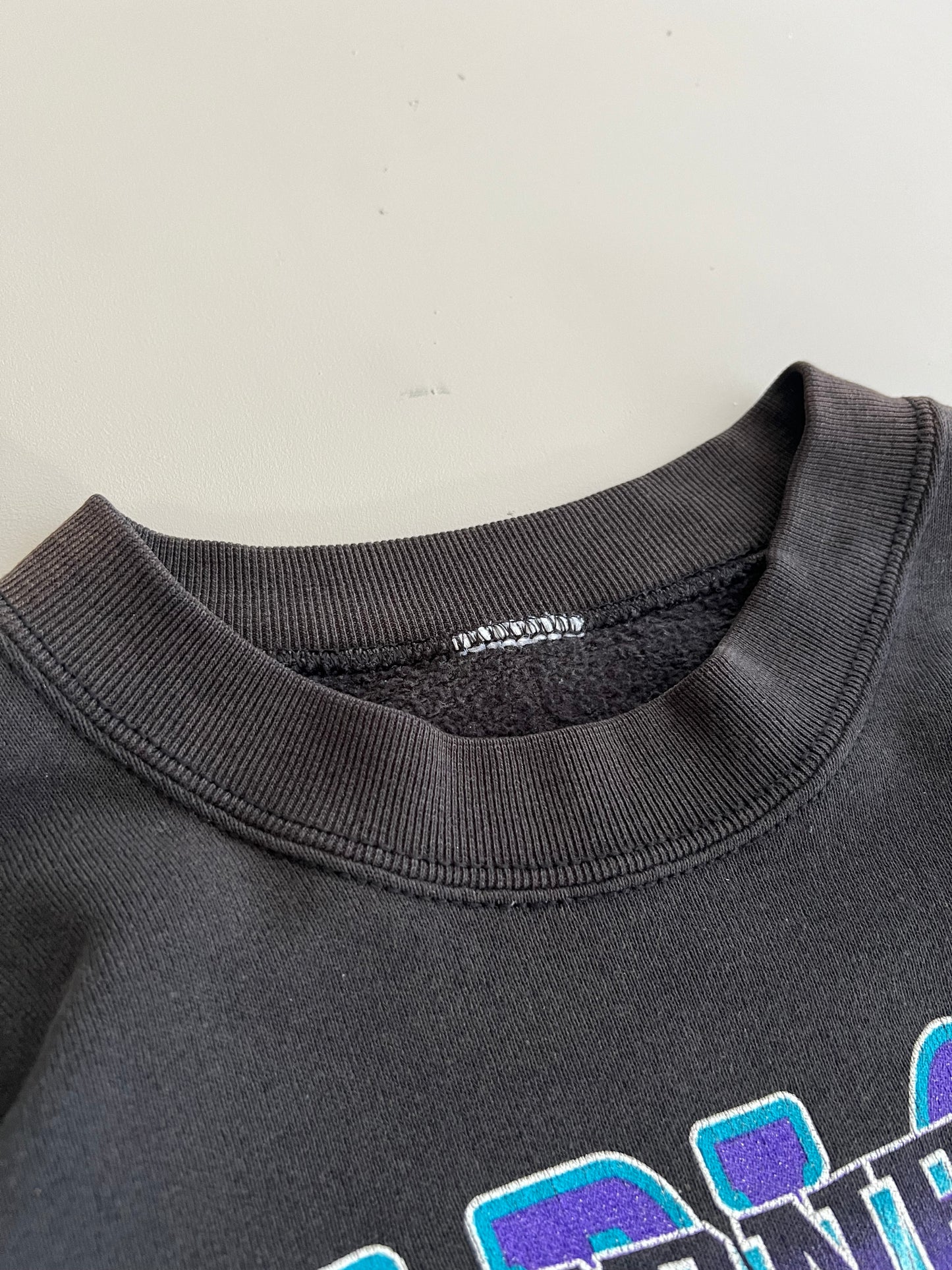 XL 90s Charlotte Hornets Looney Tunes Sweatshirt