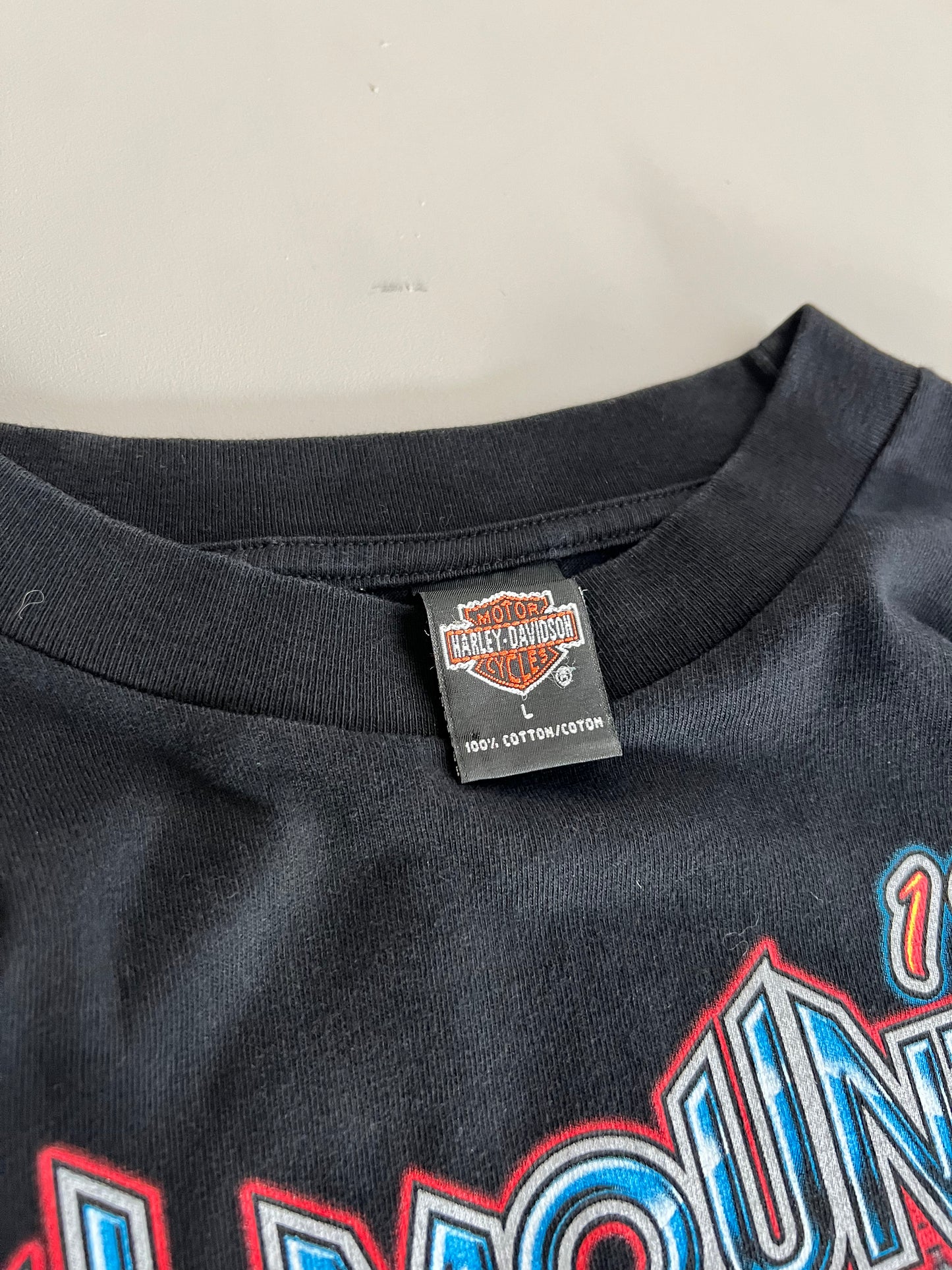 XL 1999 Harley Davidson Asheville T-shirt