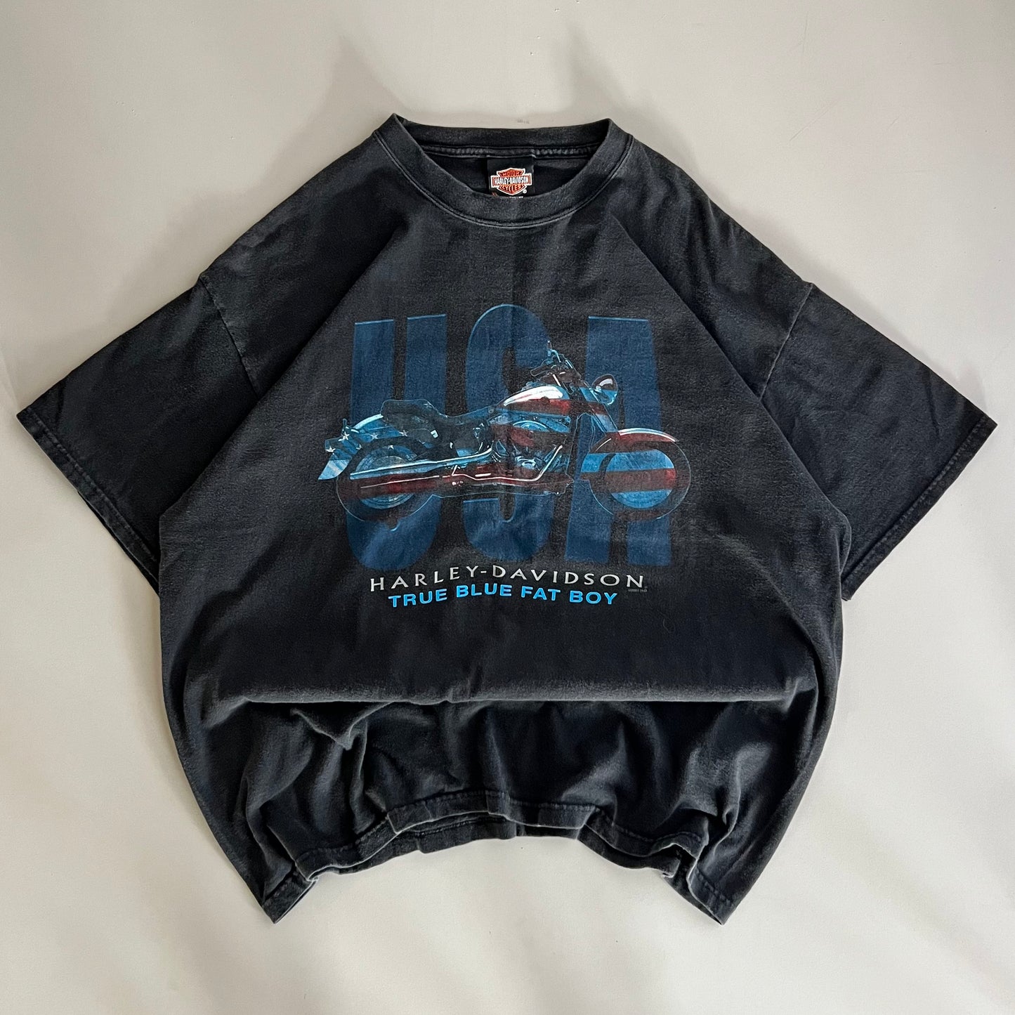 XL 2001 Harley-Davidson Swannanoa, NC T-shirt