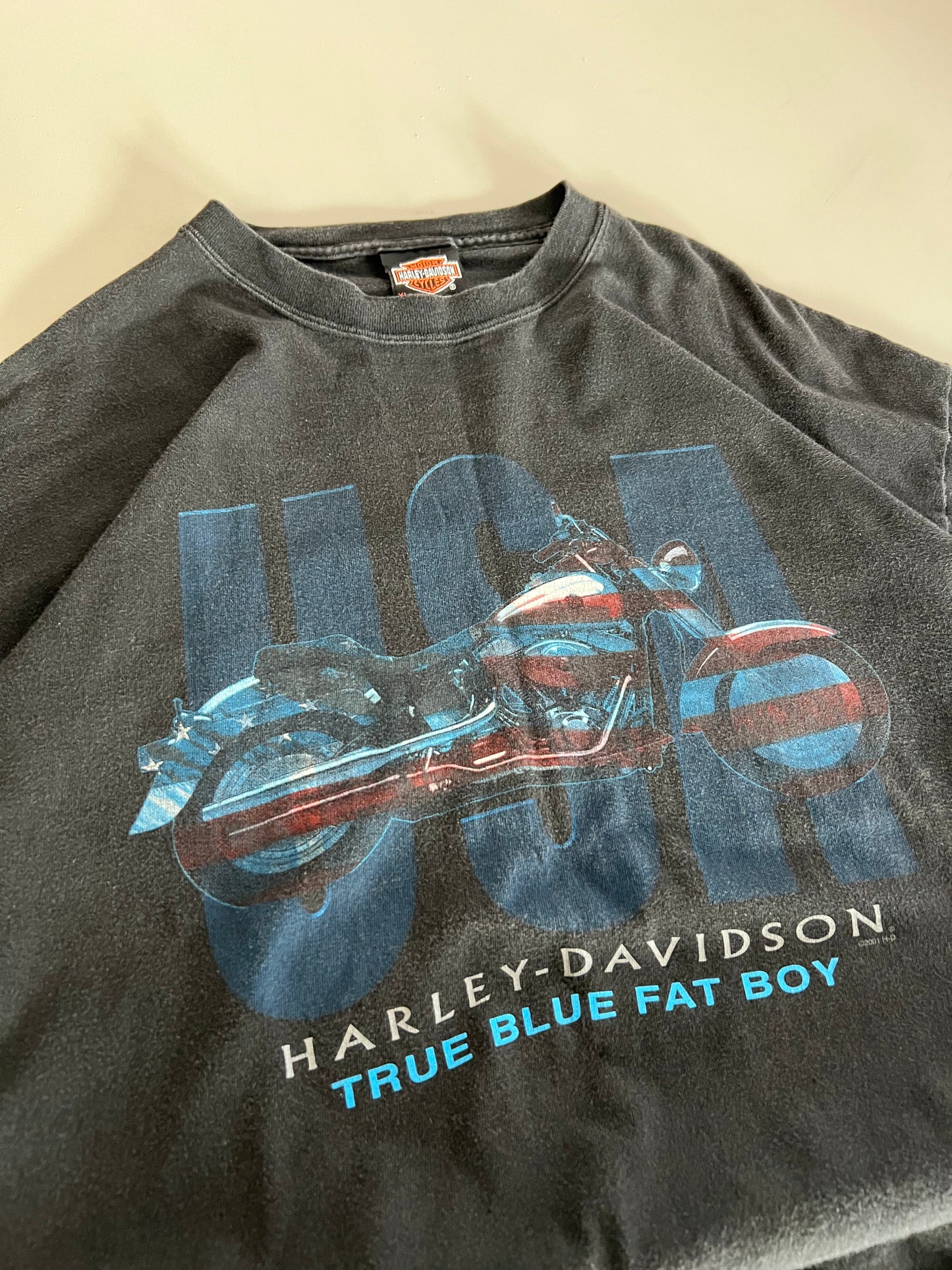 XL 2001 Harley-Davidson Swannanoa, NC T-shirt