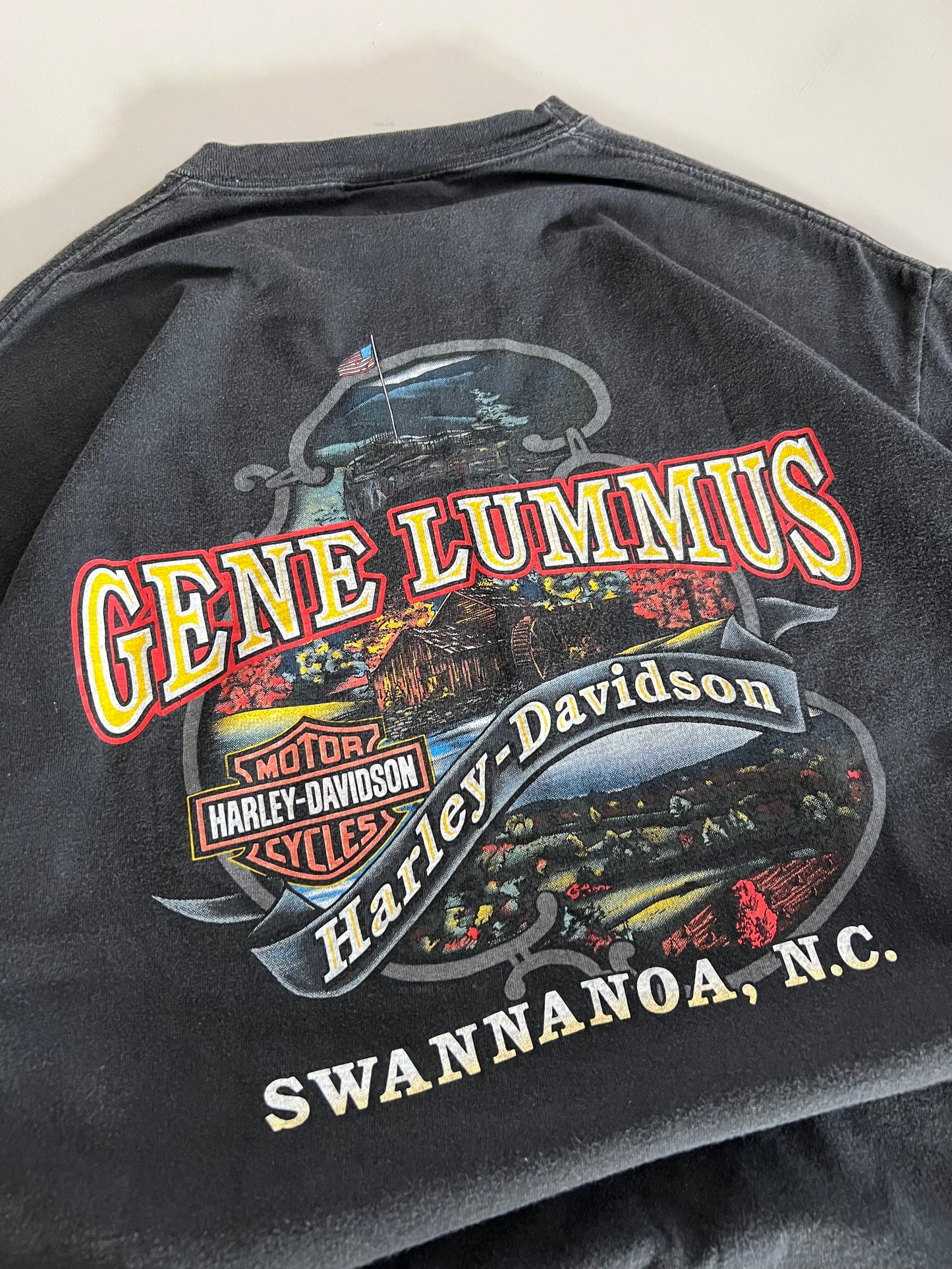 XL 2001 Harley-Davidson Swannanoa, NC T-shirt