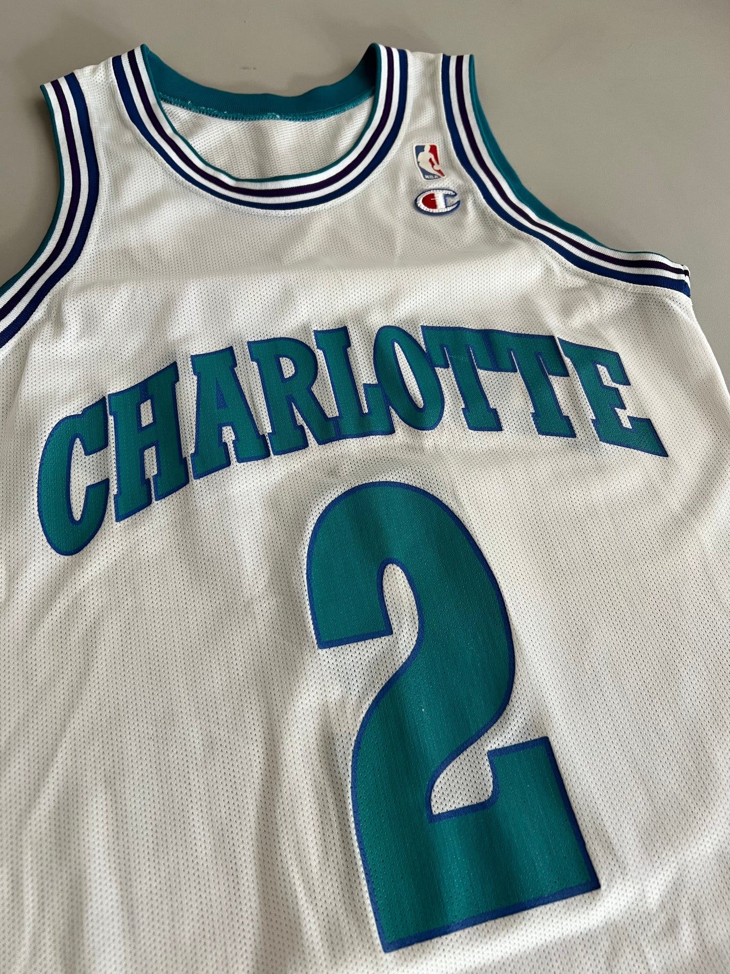 Large 90s Charlotte Hornets Larry Johnson Champion Jersey