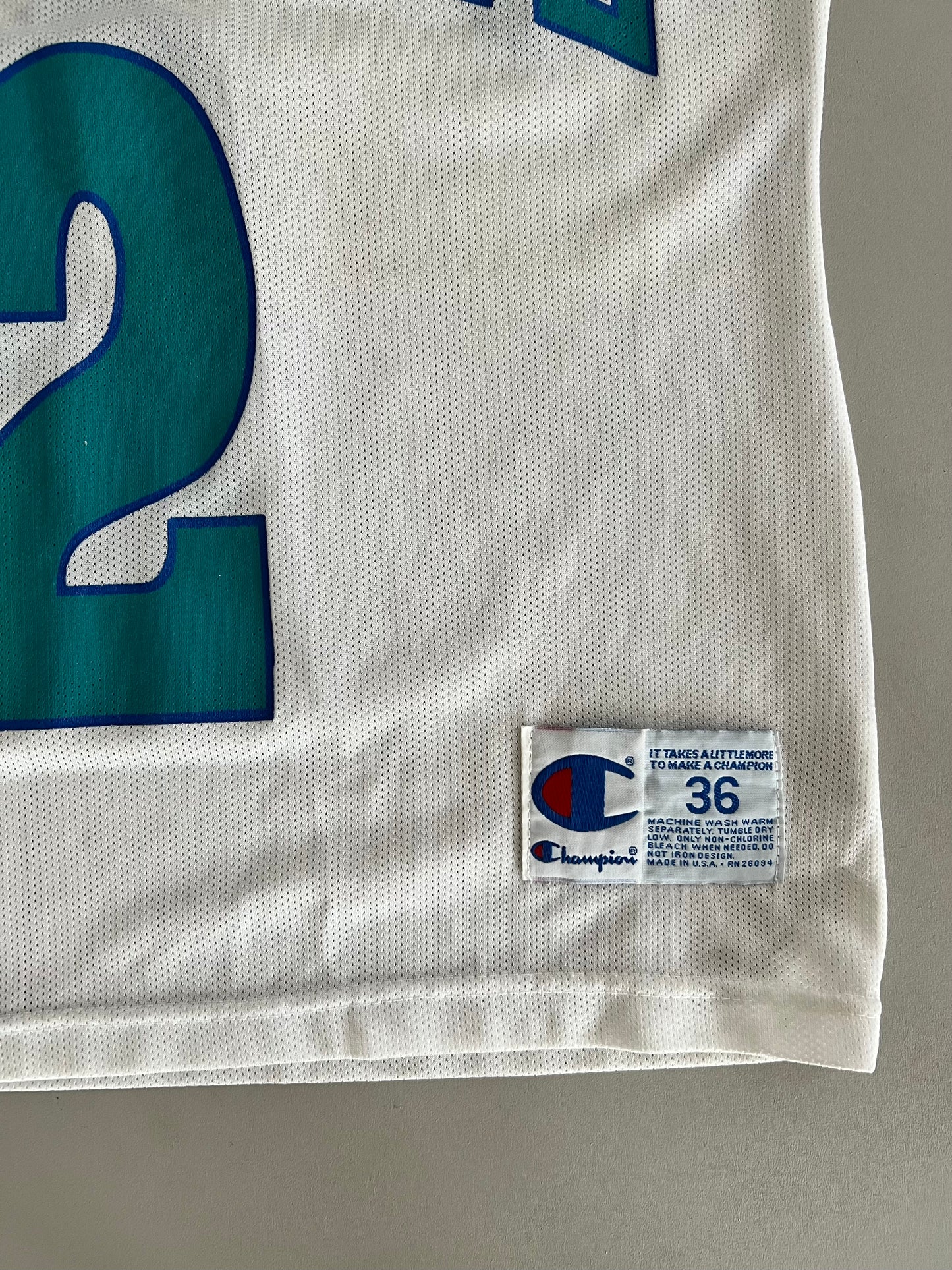 Large 90s Charlotte Hornets Larry Johnson Champion Jersey
