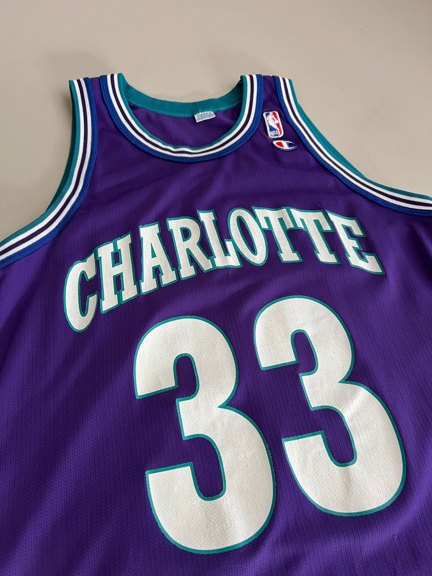 Large 90s Charlotte Hornets Alonzo Mourning Jersey