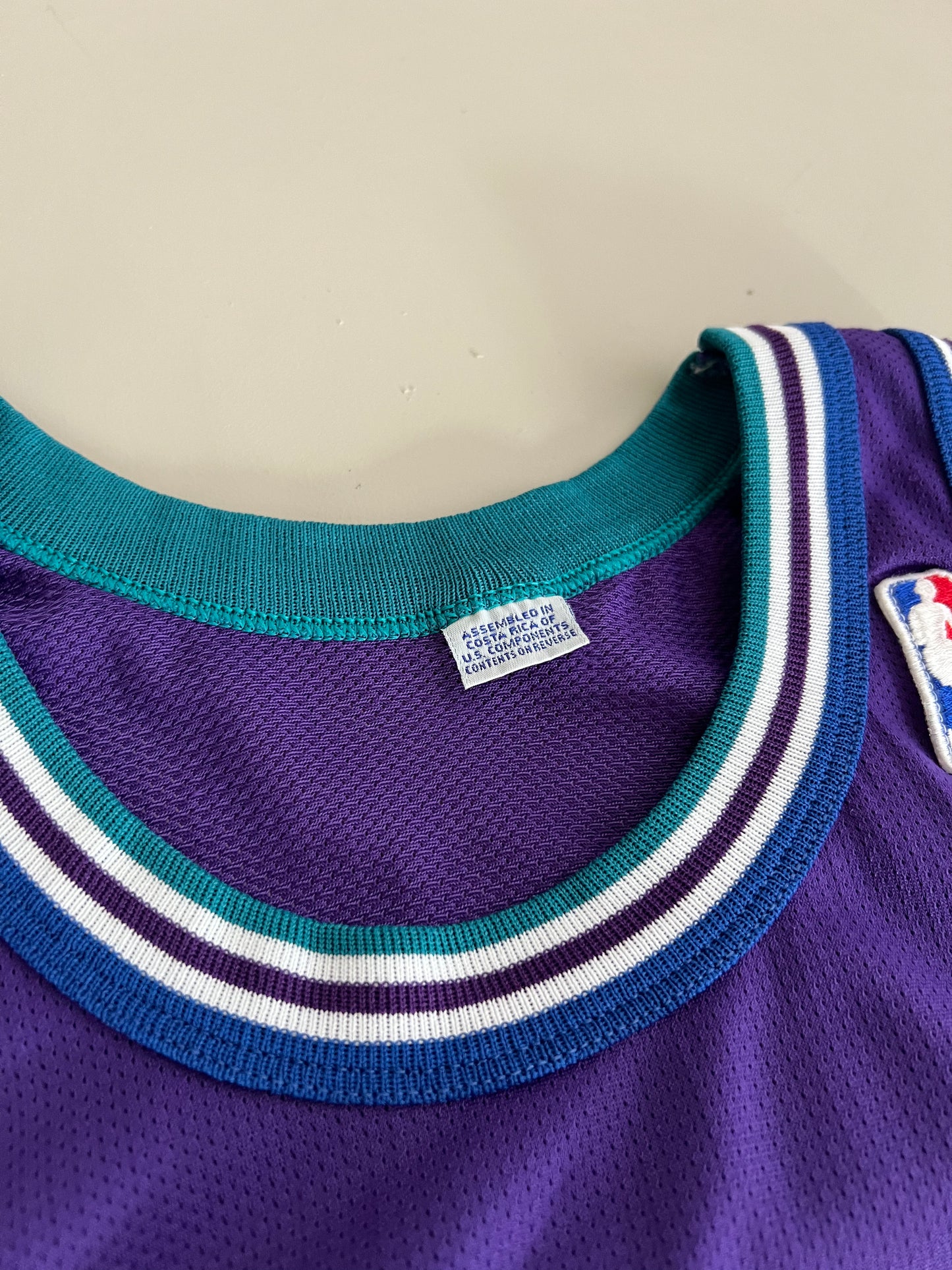 Large 90s Charlotte Hornets Alonzo Mourning Jersey