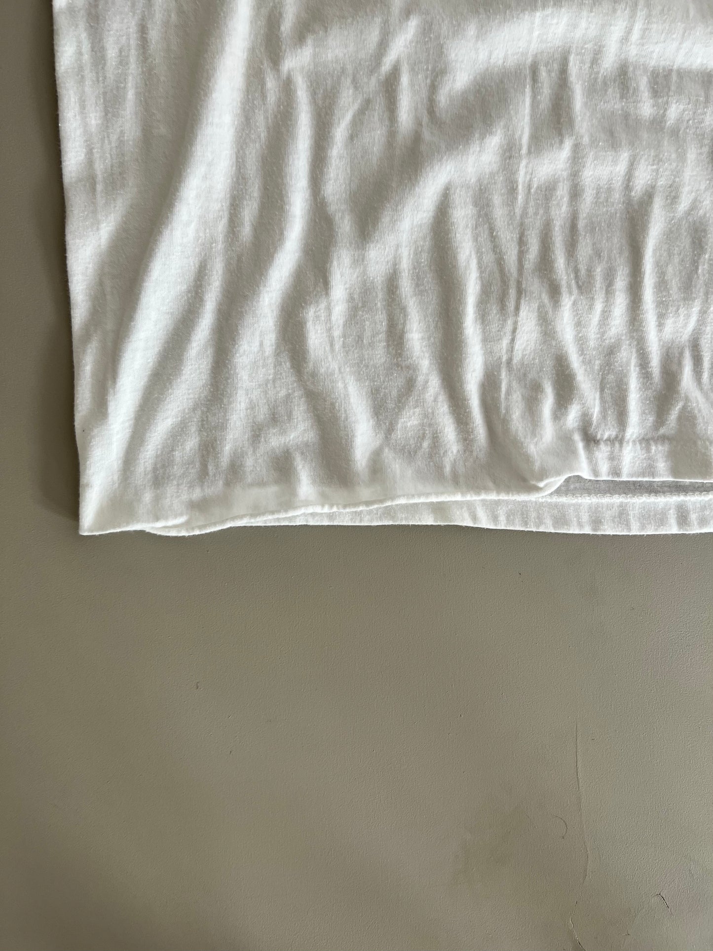 Large 90s Charlotte Observer Hornets T-shirt