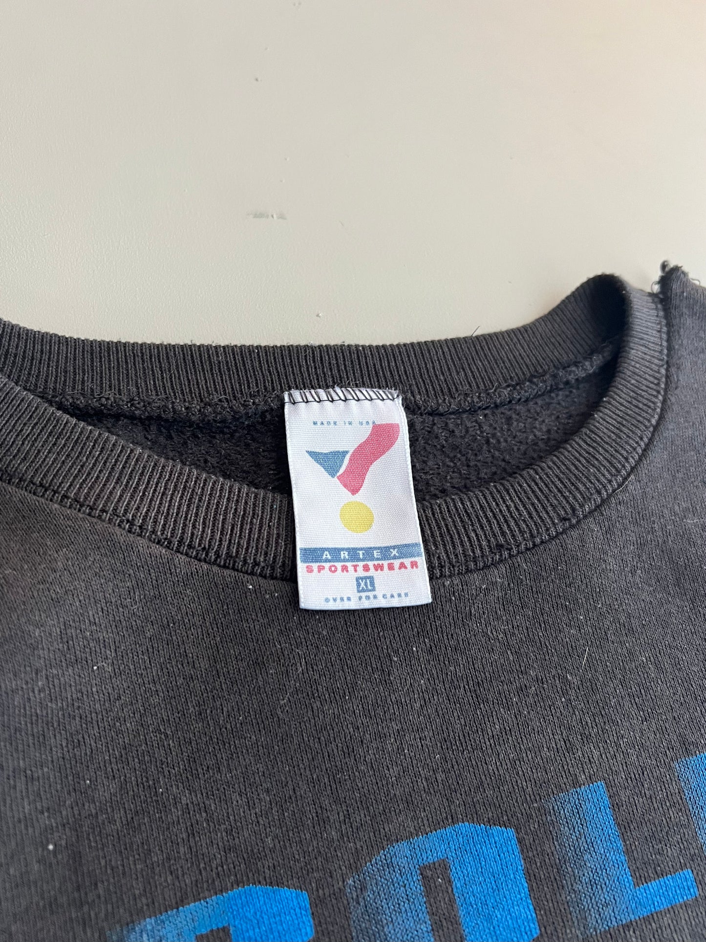 XL 1993 Carolina Panthers Sweatshirt