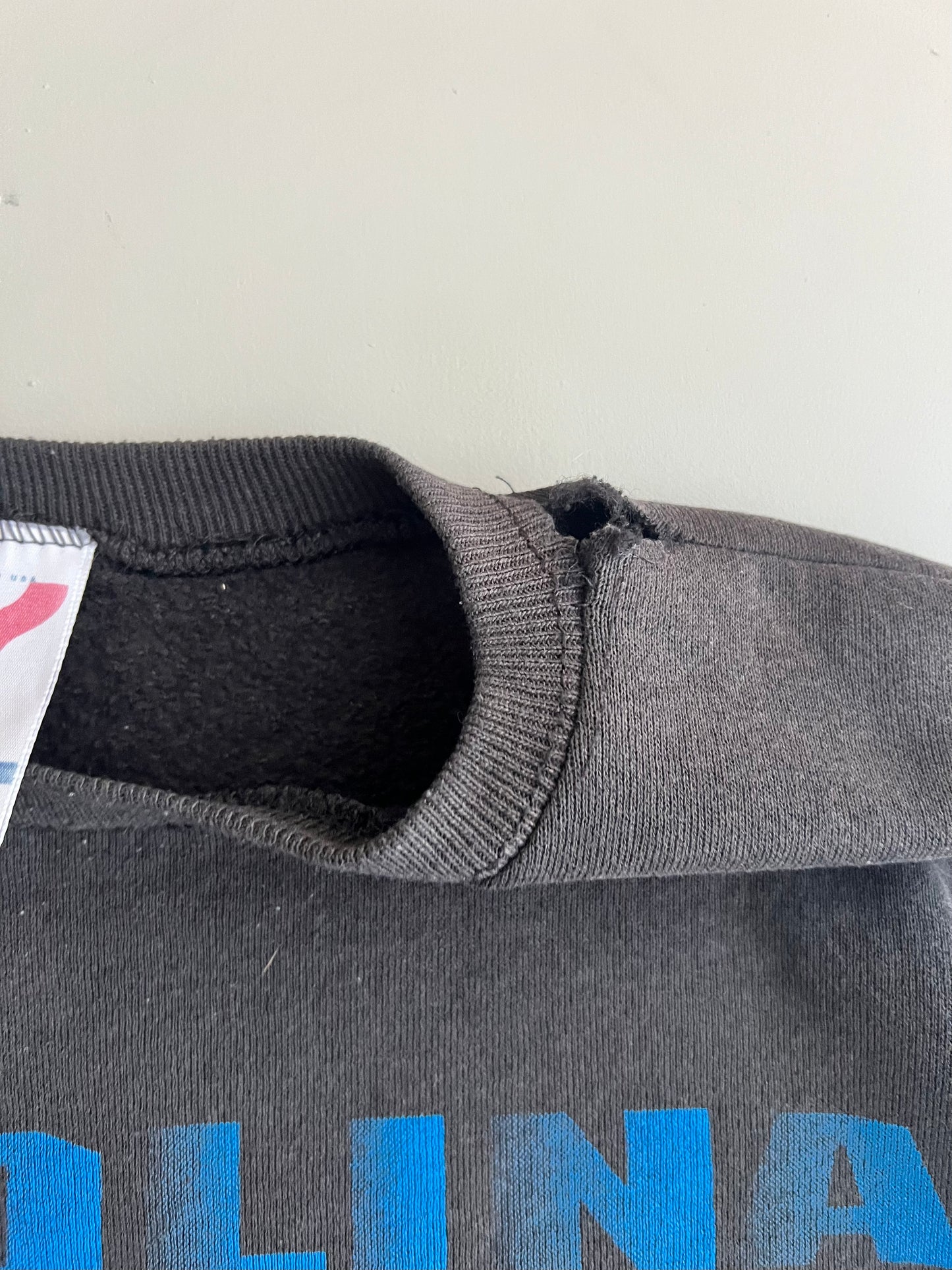 XL 1993 Carolina Panthers Sweatshirt