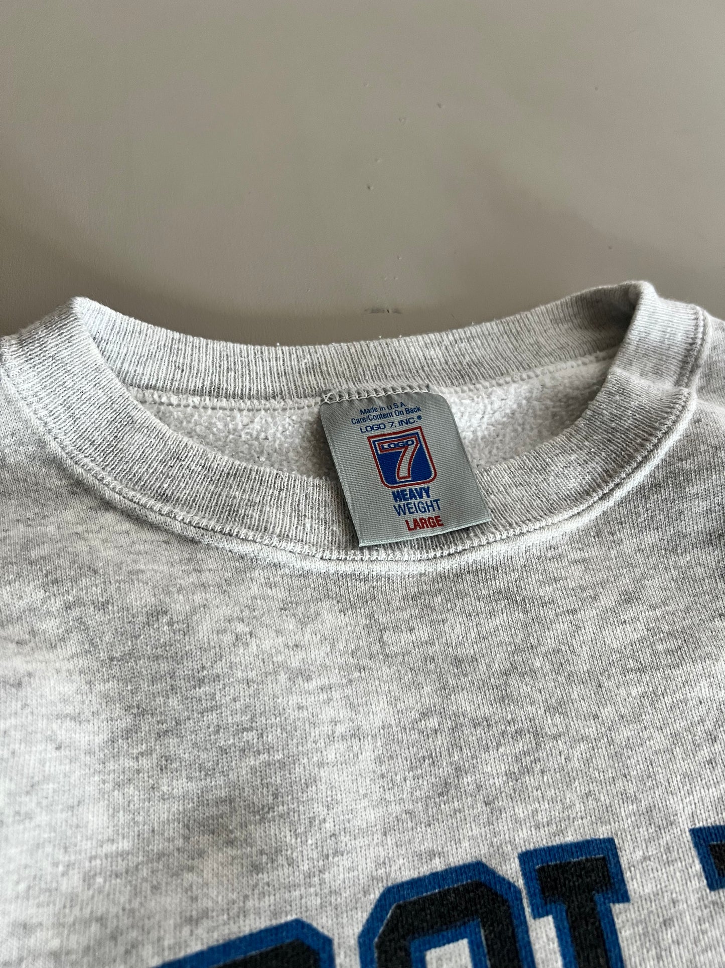 Large 1993 Carolina Panthers Logo 7 Sweatshirt