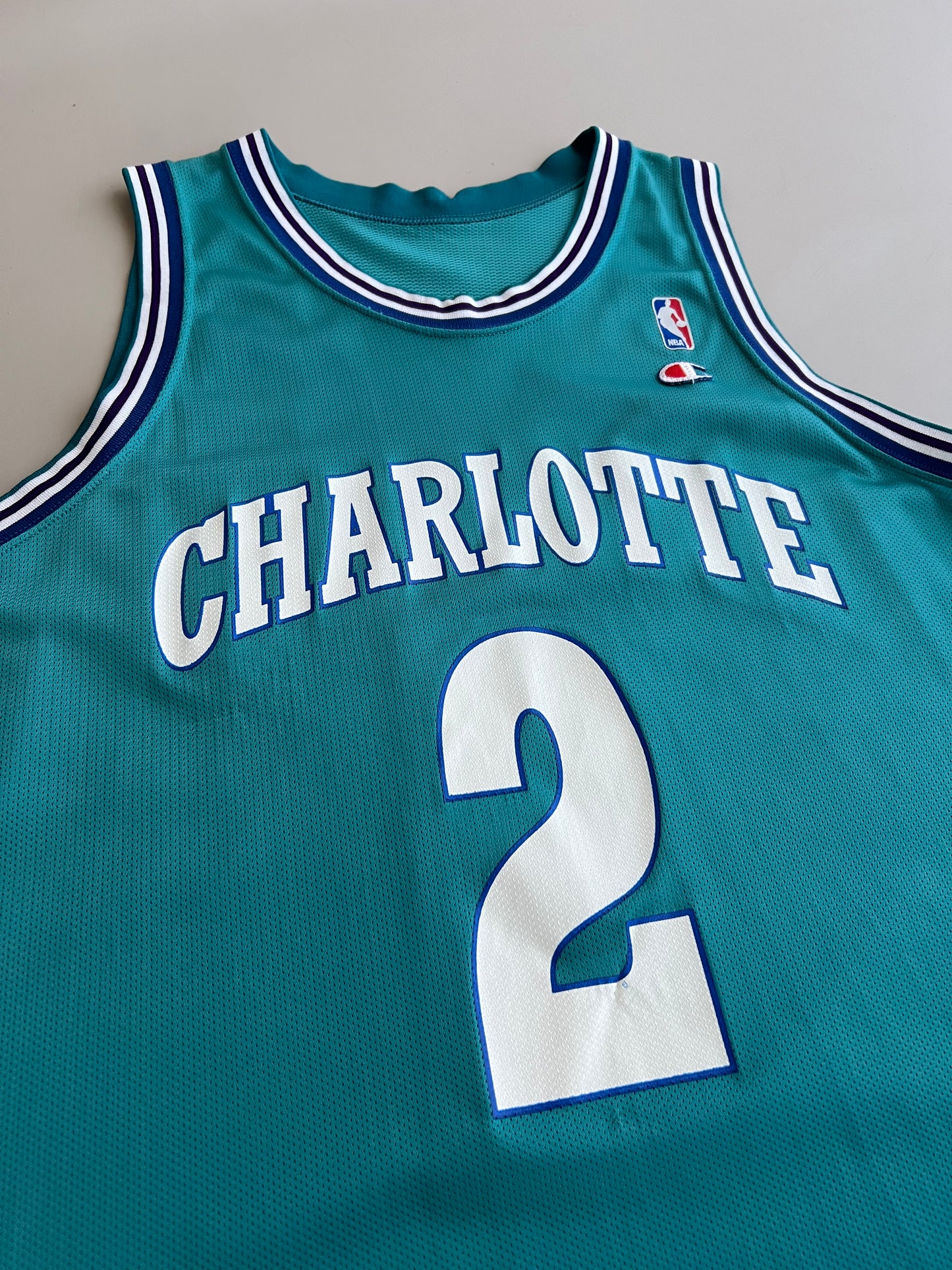 XL 90s Charlotte Hornets Larry Johnson Jersey