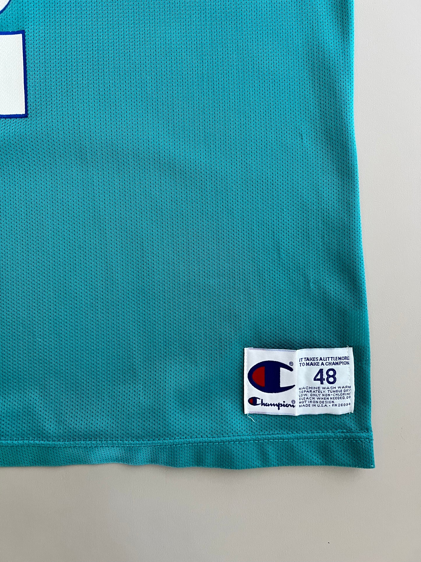 XL 90s Charlotte Hornets Larry Johnson Jersey