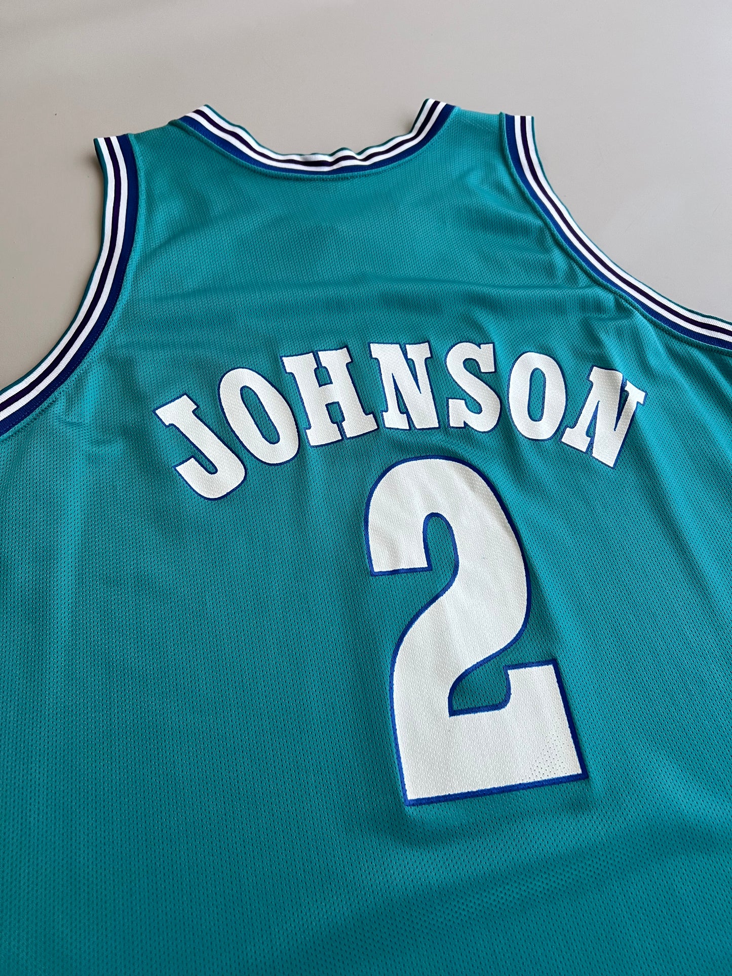 XL 90s Charlotte Hornets Larry Johnson Jersey