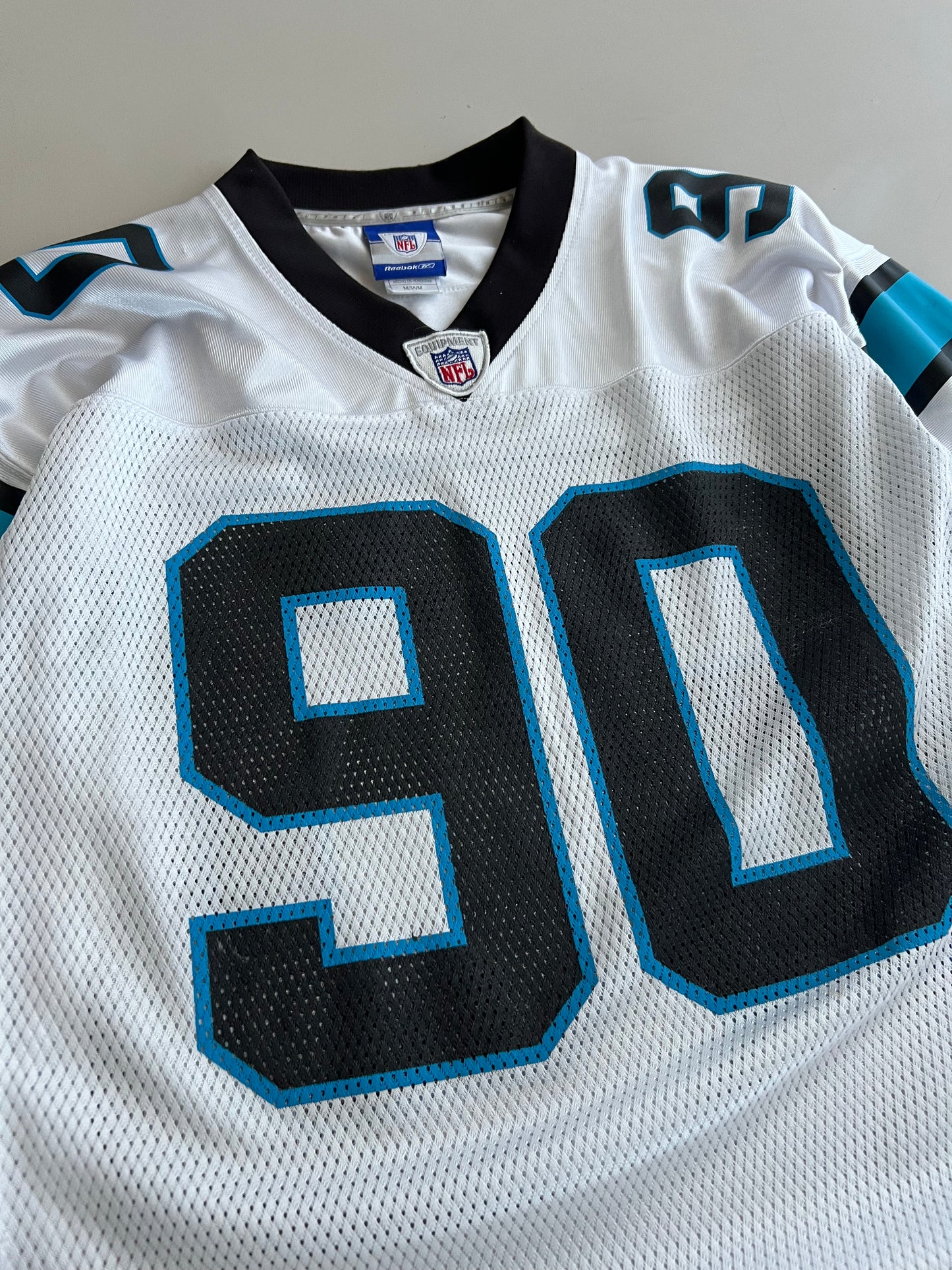 Large Carolina Panthers Julius Peppers Jersey