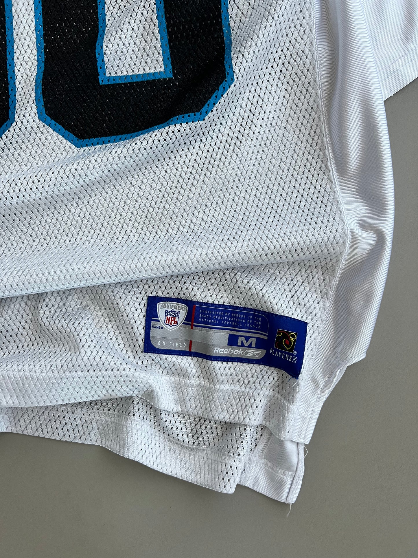 Large Carolina Panthers Julius Peppers Jersey