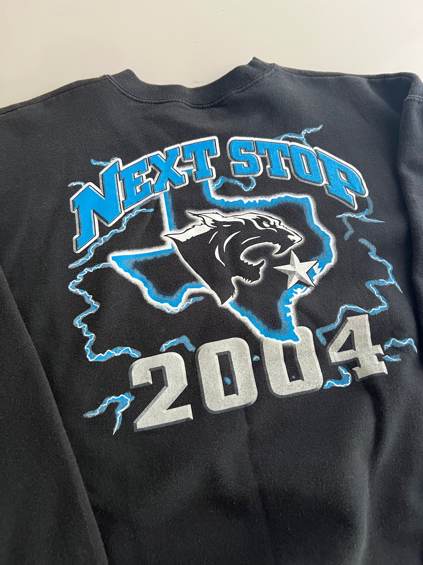 Medium 2003 Carolina Panthers Cardiac Cats Sweatshirt