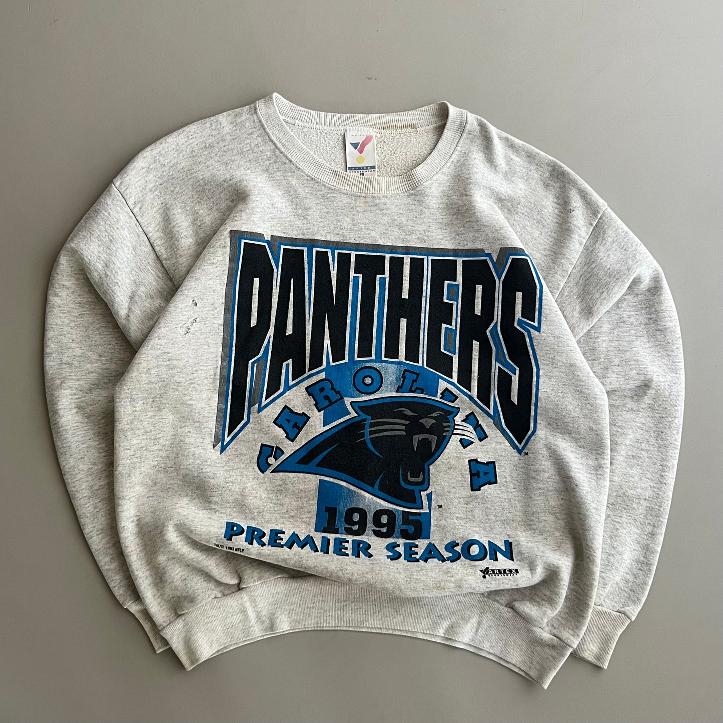 Large 1995 Carolina Panthers Sweatshirt