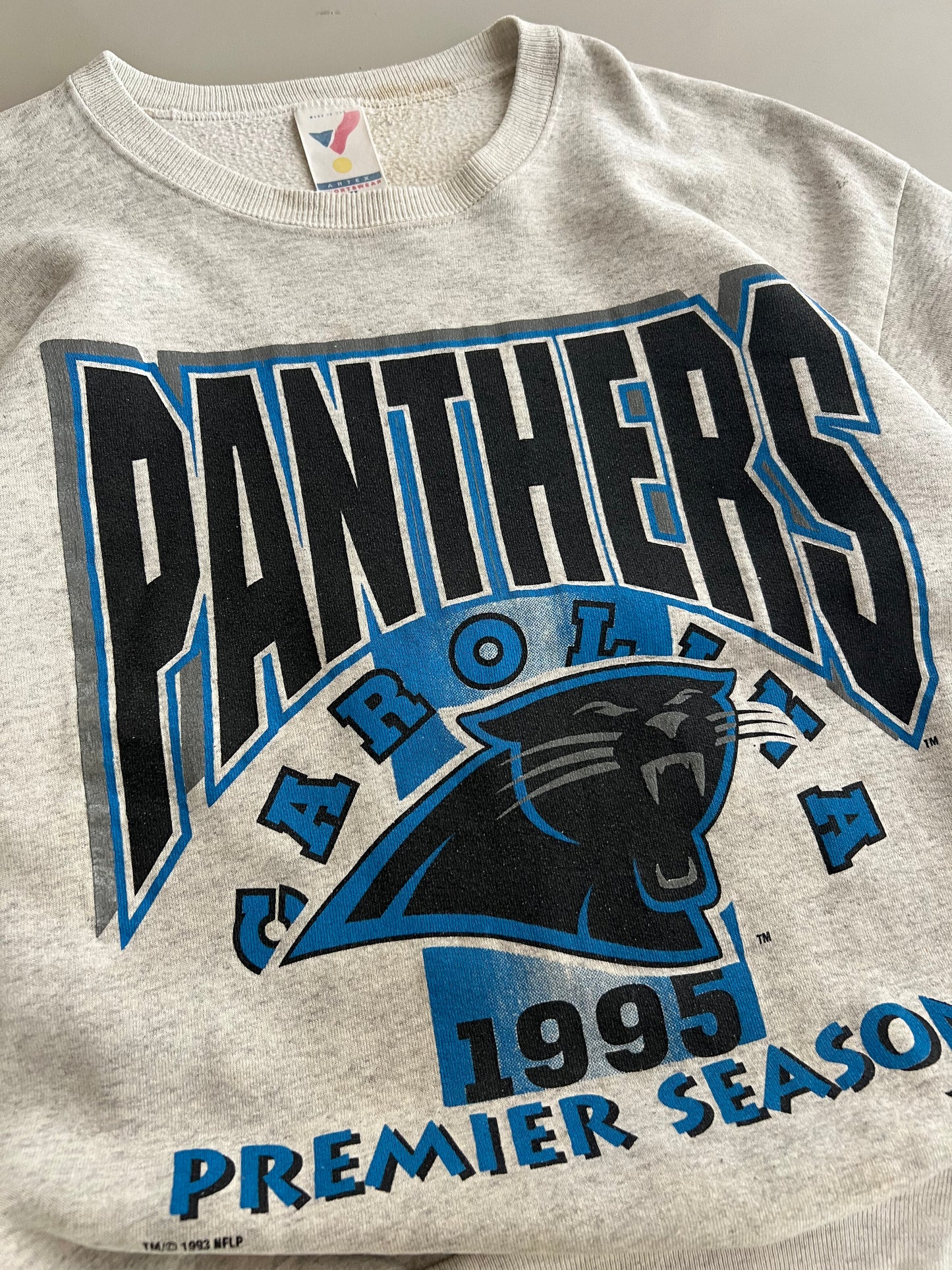 Large 1995 Carolina Panthers Sweatshirt