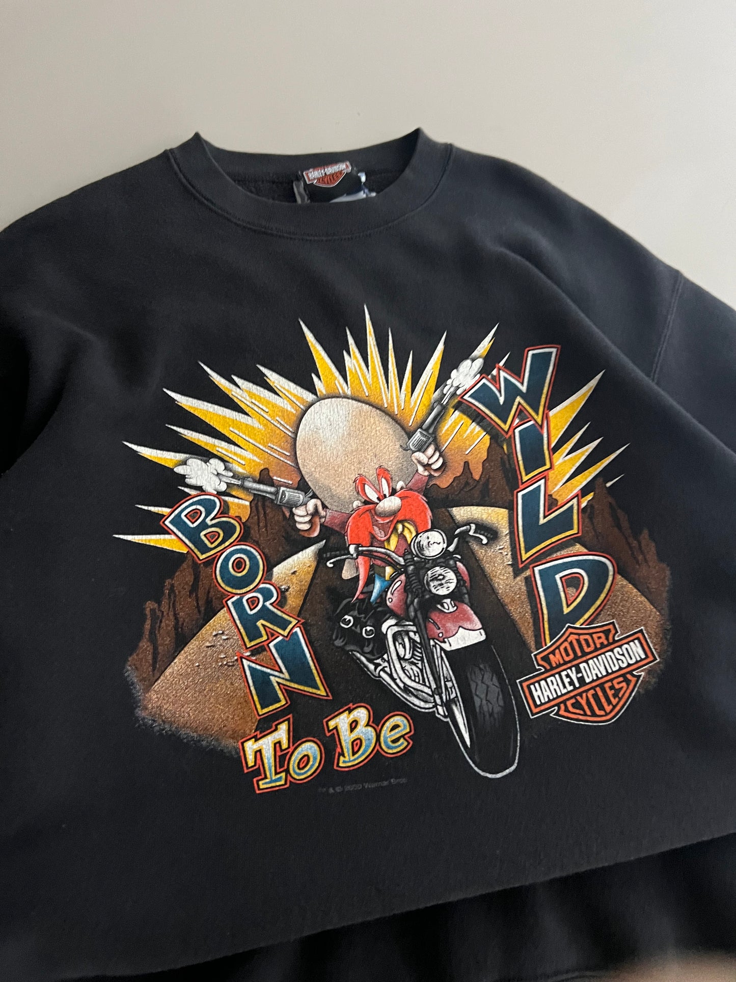 Medium 2000 Harley Davidson Looney Tunes Sweatshirt