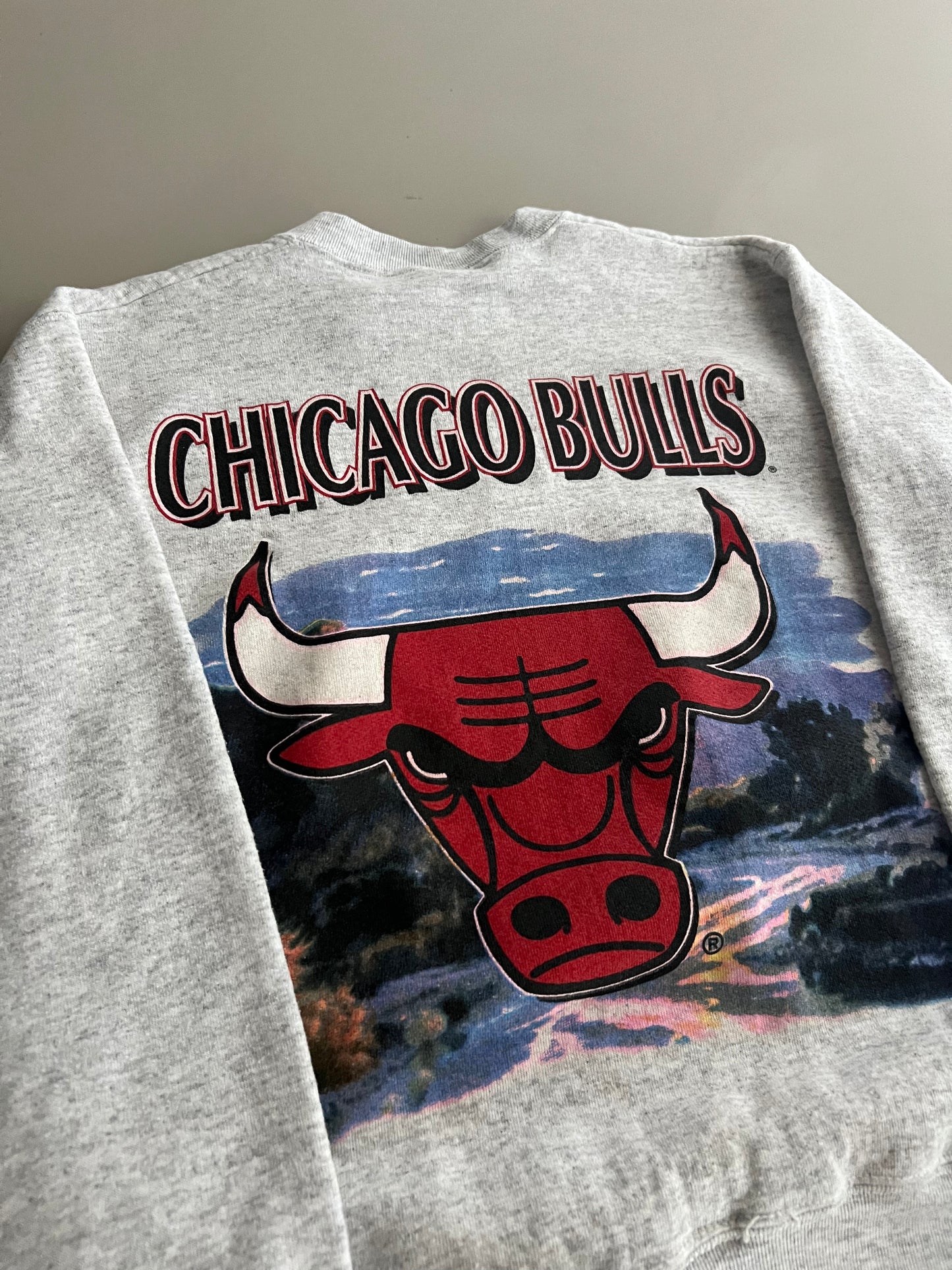 Small 1990s Chicago Bulls Salem Sweatshirt
