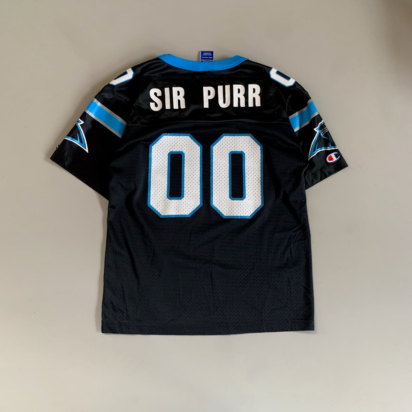 Youth Large 2000 Carolina Panthers Sir Purr Jersey
