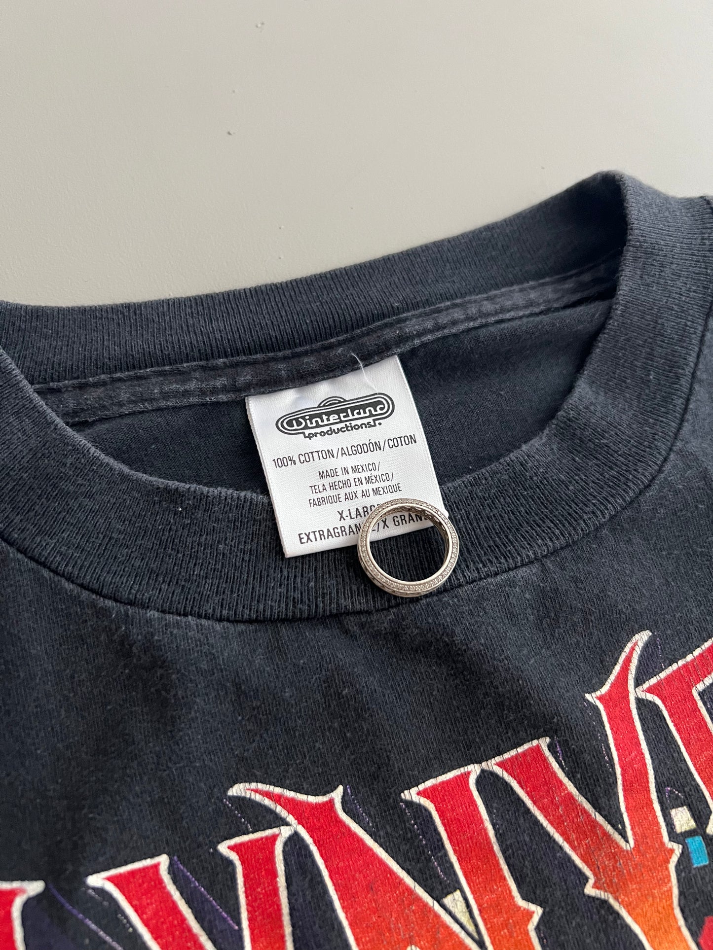 XL 1995 Lynyrd Skynyrd Tour T-shirt