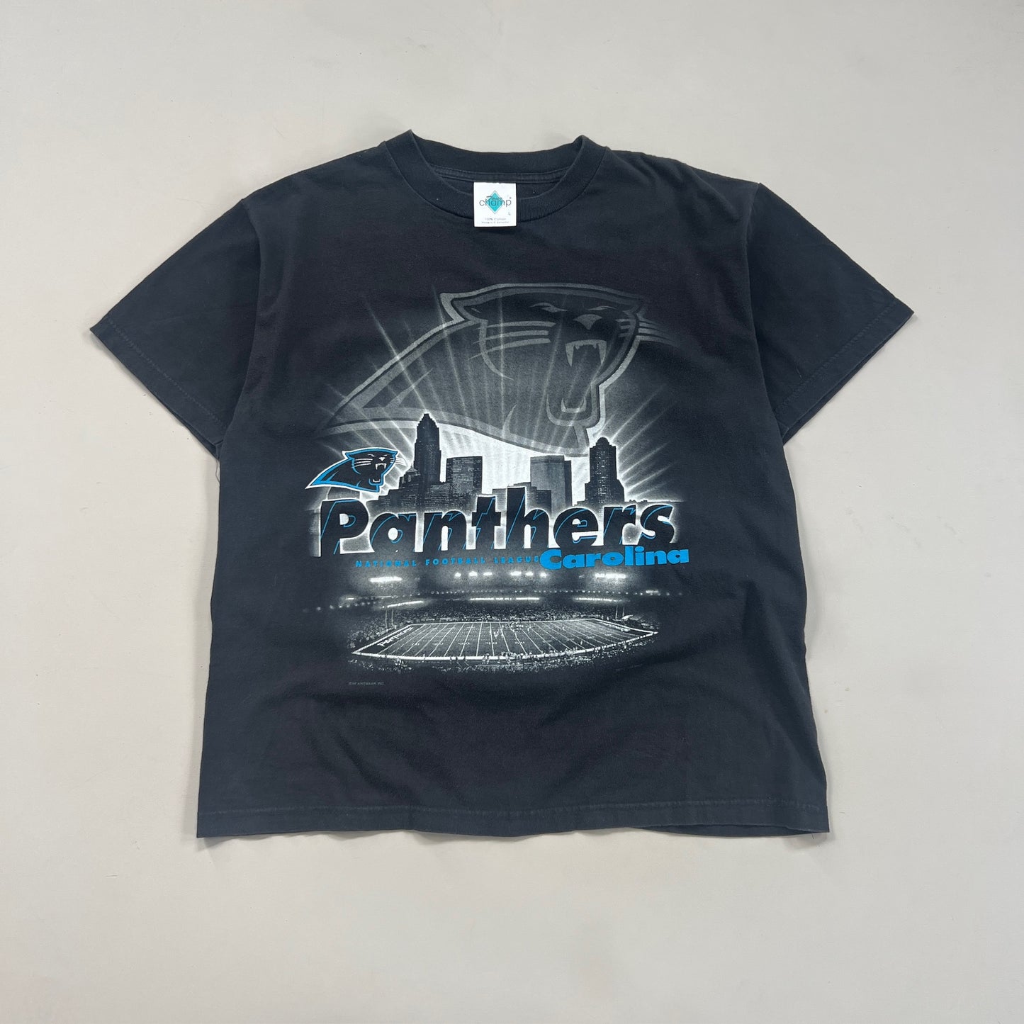 Large 1999 Carolina Panthers Stadium T-shirt