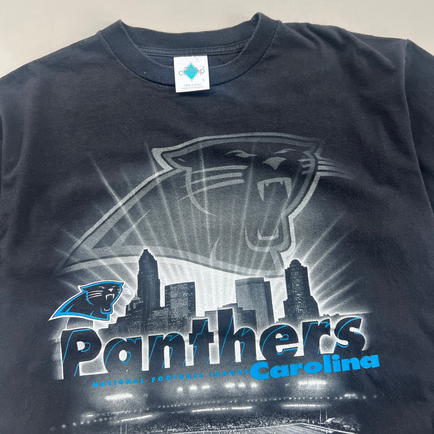 Large 1999 Carolina Panthers Stadium T-shirt