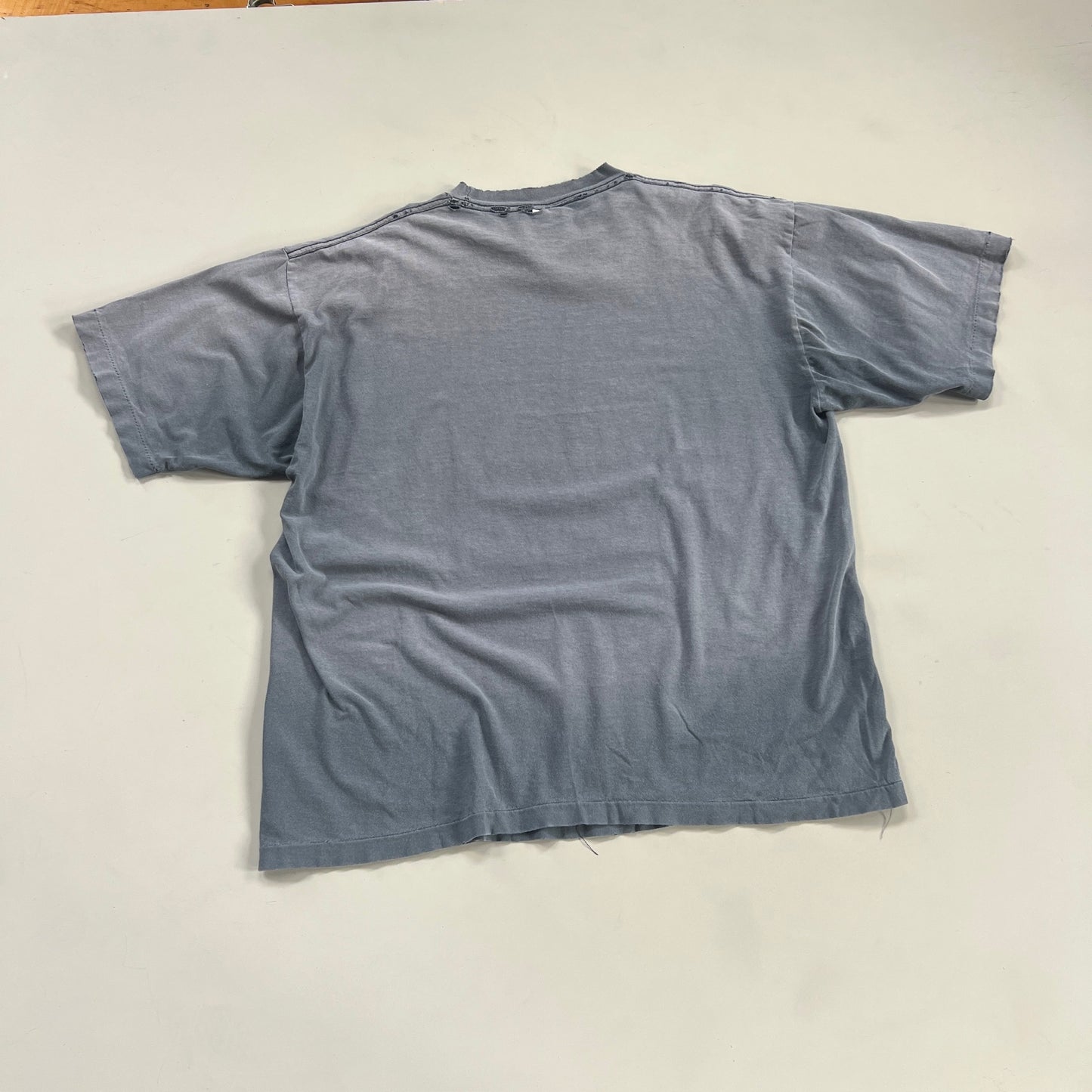 XL 1990s Distressed Carolina Panthers T-shirt
