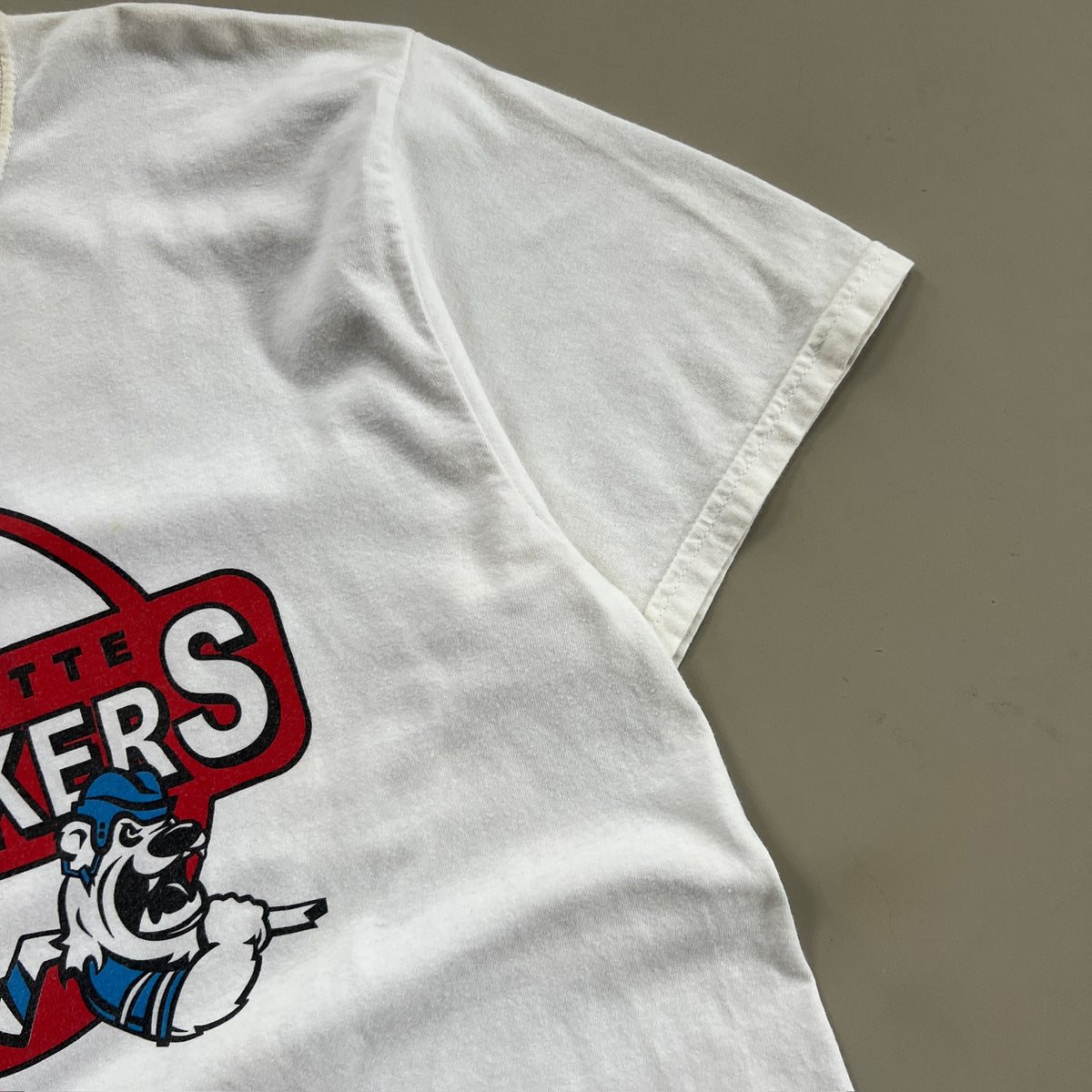 Large 2000s Charlotte Checkers ECHL T-shirt