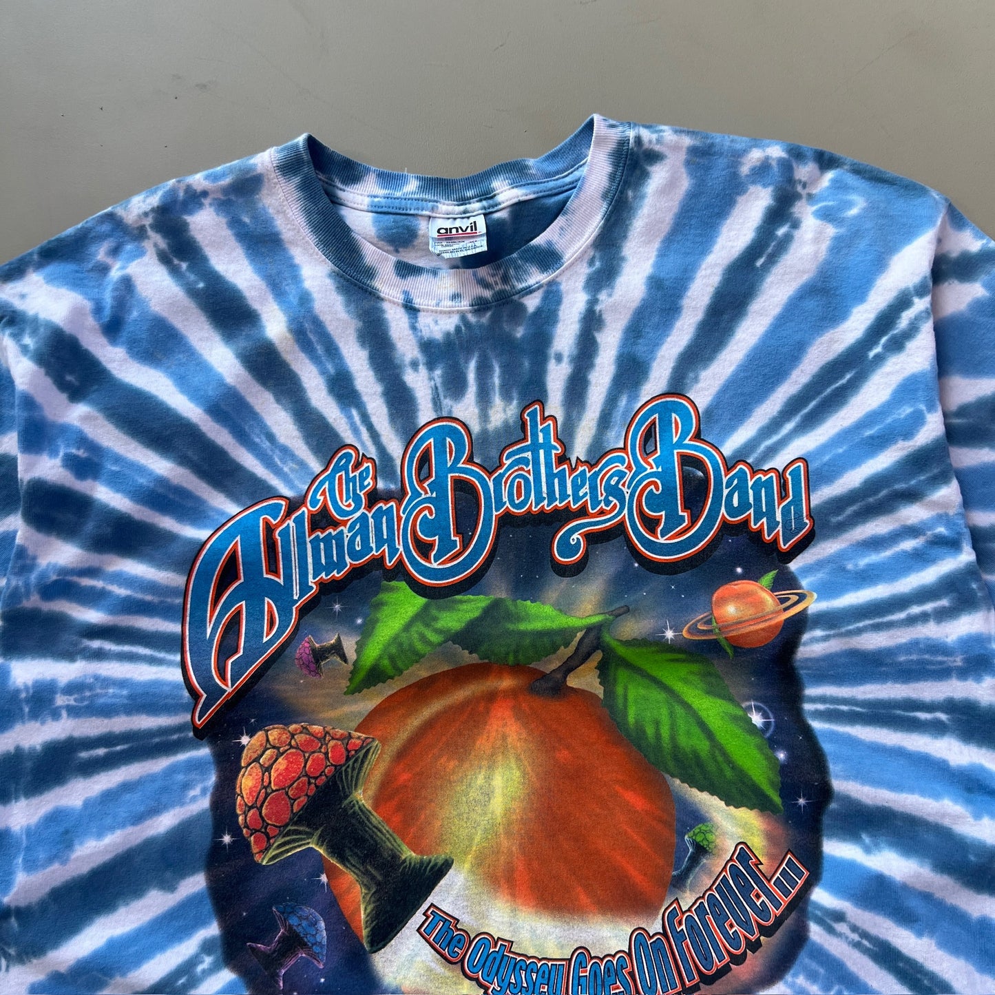 XL 2001 The Allman Brothers Band Peach Odyssey Tour T-shirt