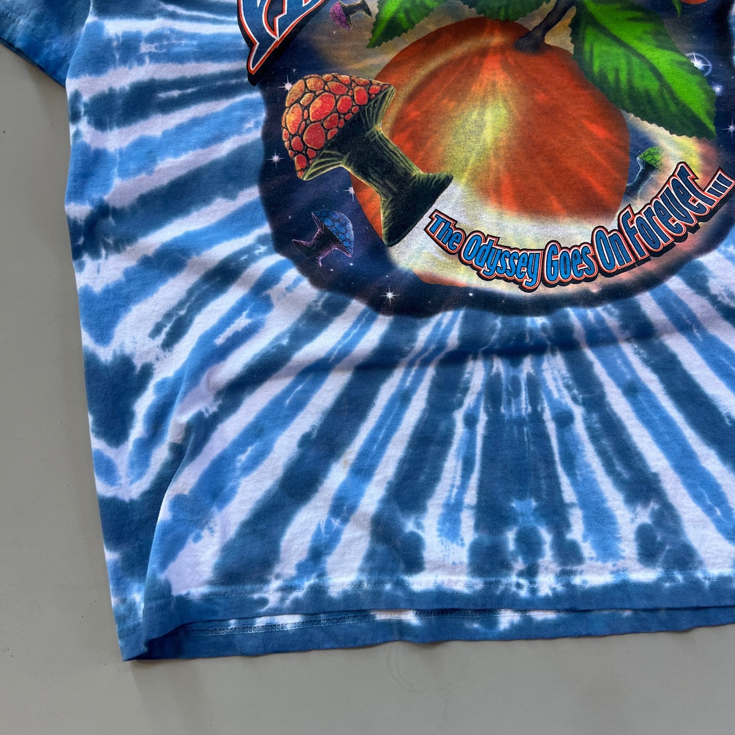 XL 2001 The Allman Brothers Band Peach Odyssey Tour T-shirt