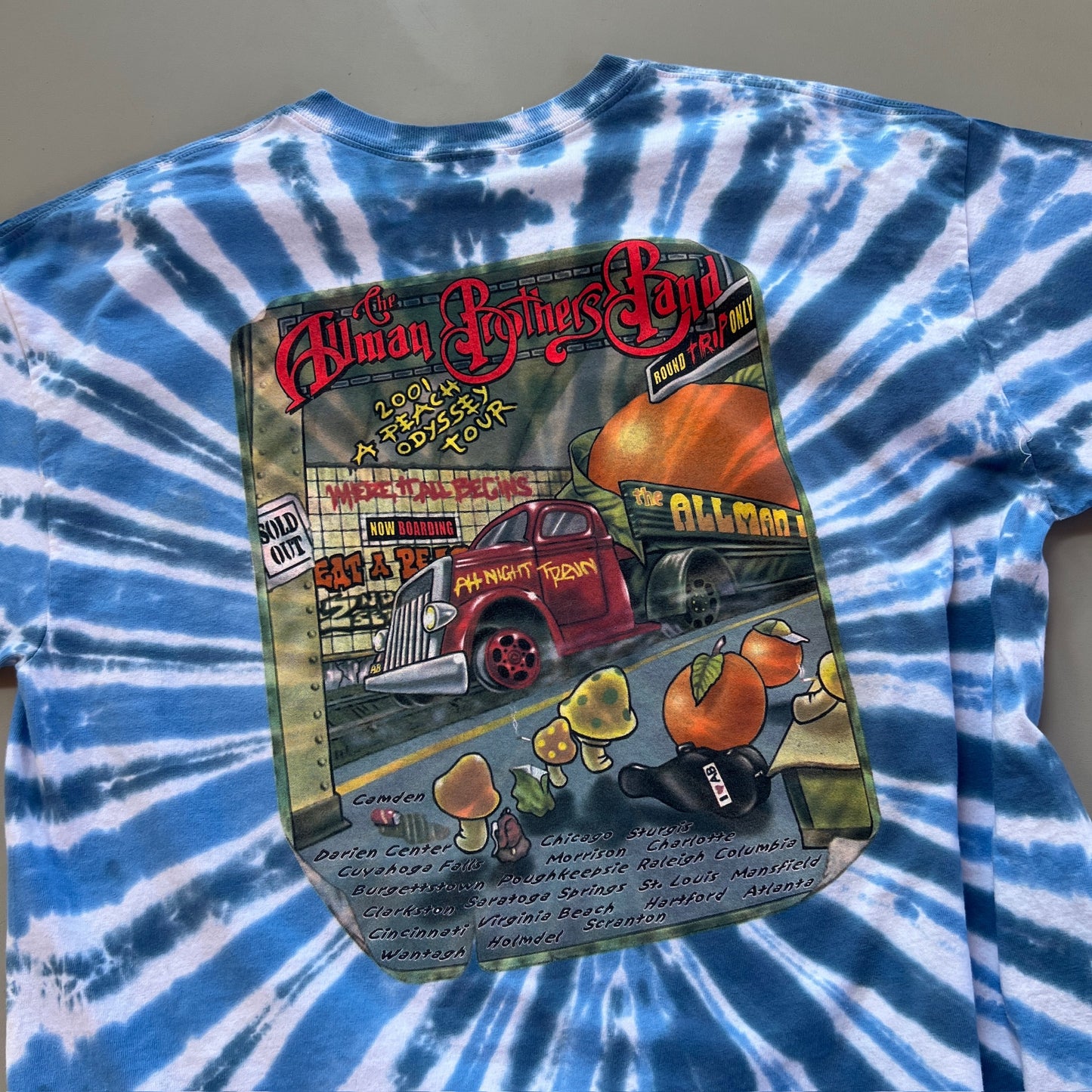 XL 2001 The Allman Brothers Band Peach Odyssey Tour T-shirt