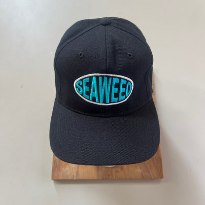 1990s Seaweed Band Merch Hat