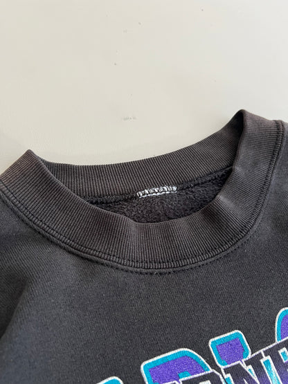 XL 90s Charlotte Hornets Looney Tunes Sweatshirt