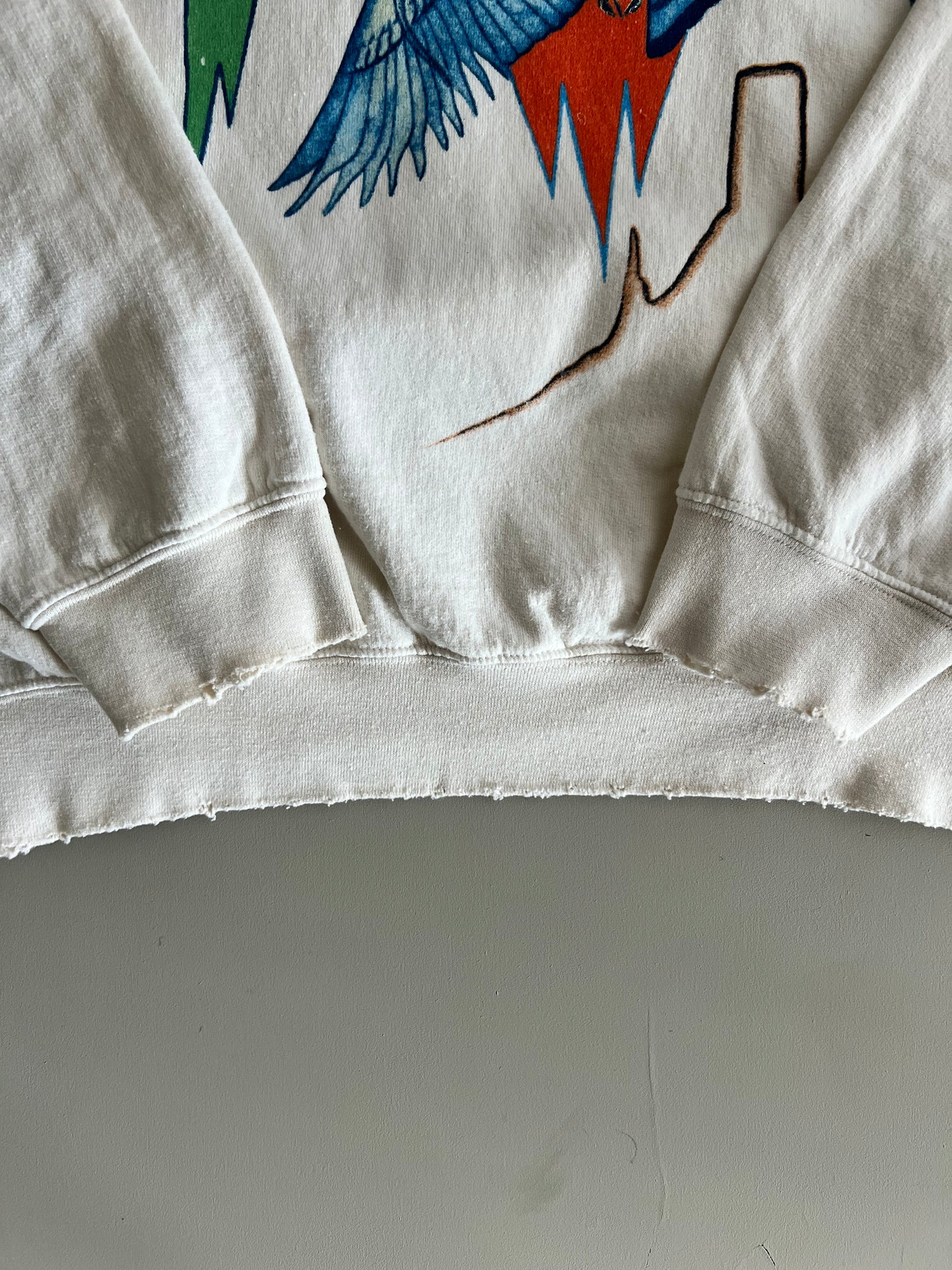 XL 90s Eagles On The Border Sweatshirt