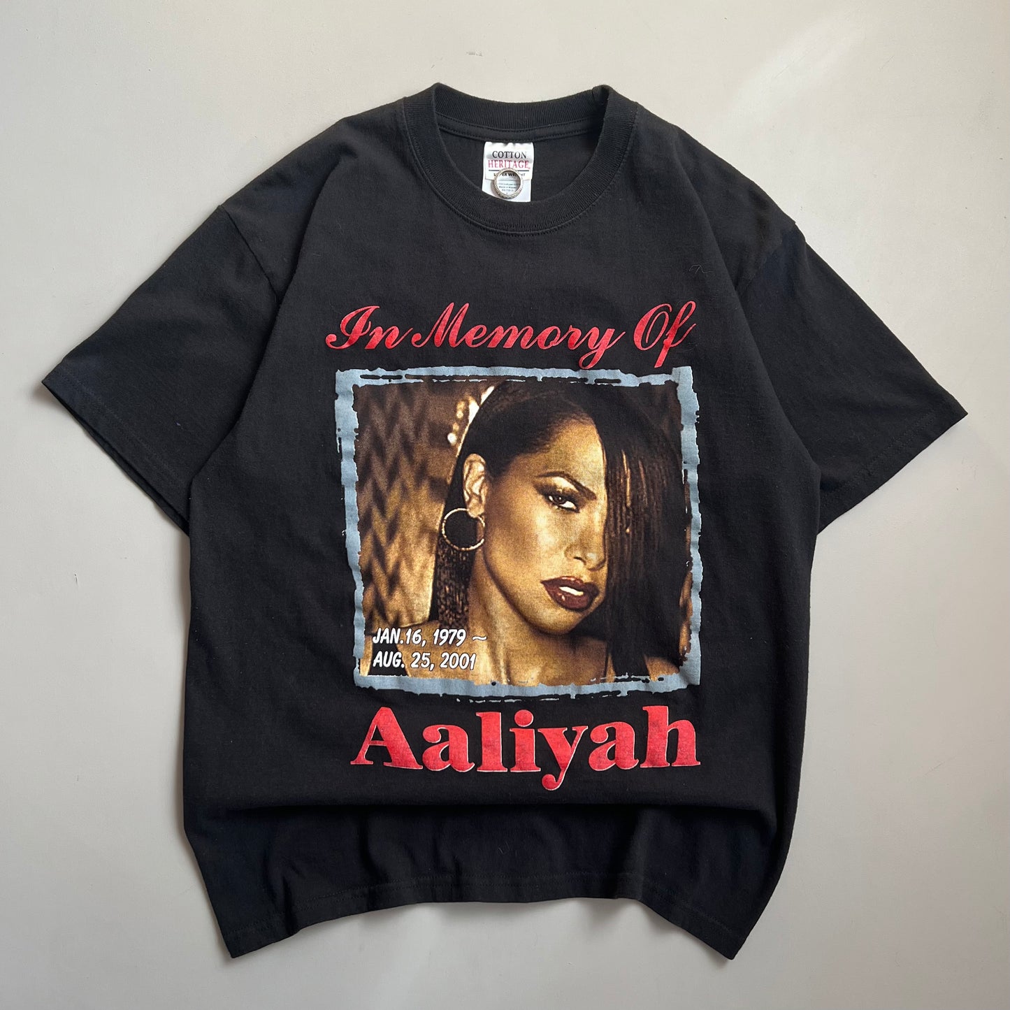 Large 2001 In Memory of Aaliyah Original T-shirt