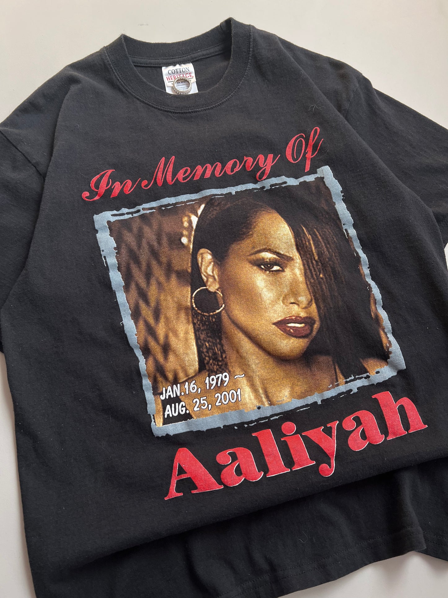 Large 2001 In Memory of Aaliyah Original T-shirt