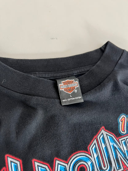 XL 1999 Harley Davidson Asheville T-shirt