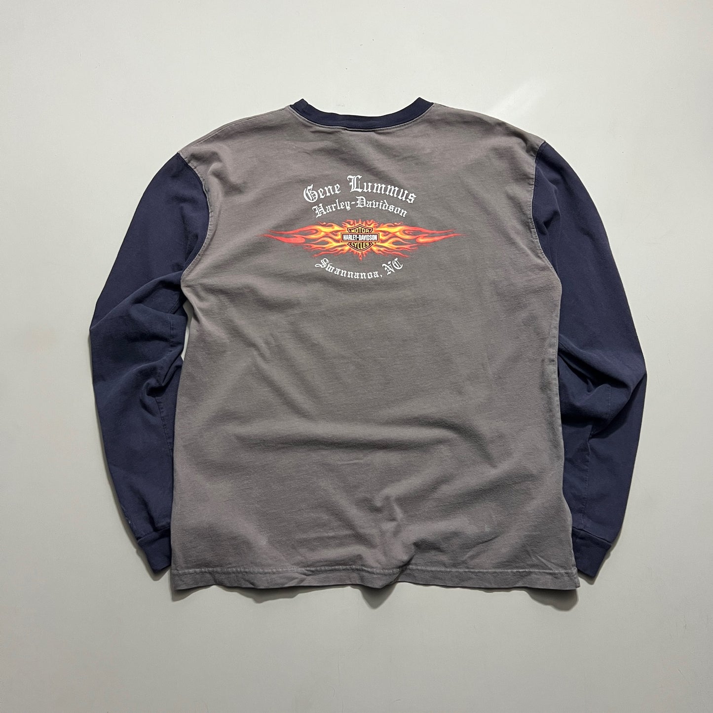 Large 2005 Harley Davidson North Carolina Flame Sleeve T-shirt