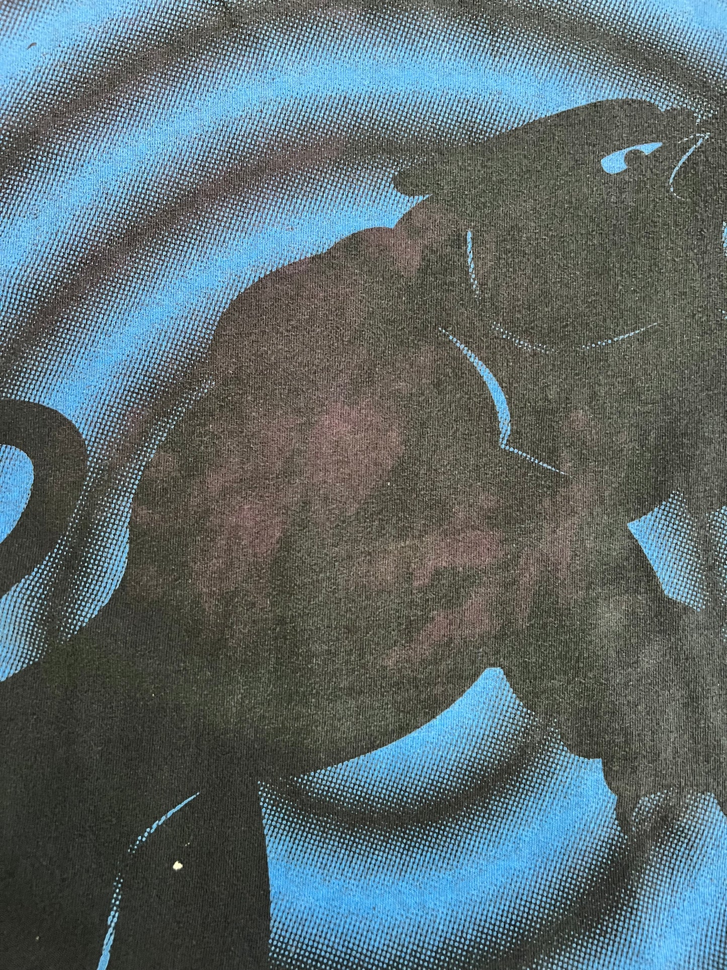 Medium 1993 Carolina Panthers Shadow T-shirt