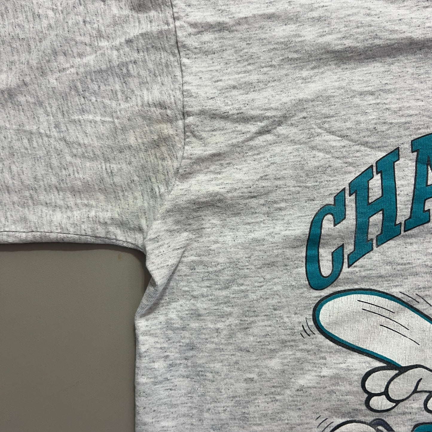 Youth Large 1990s Charlotte Hornets T-shirt