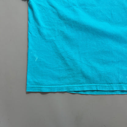 Large 1990s Charlotte Hornets Magic Johnson T's T-shirt