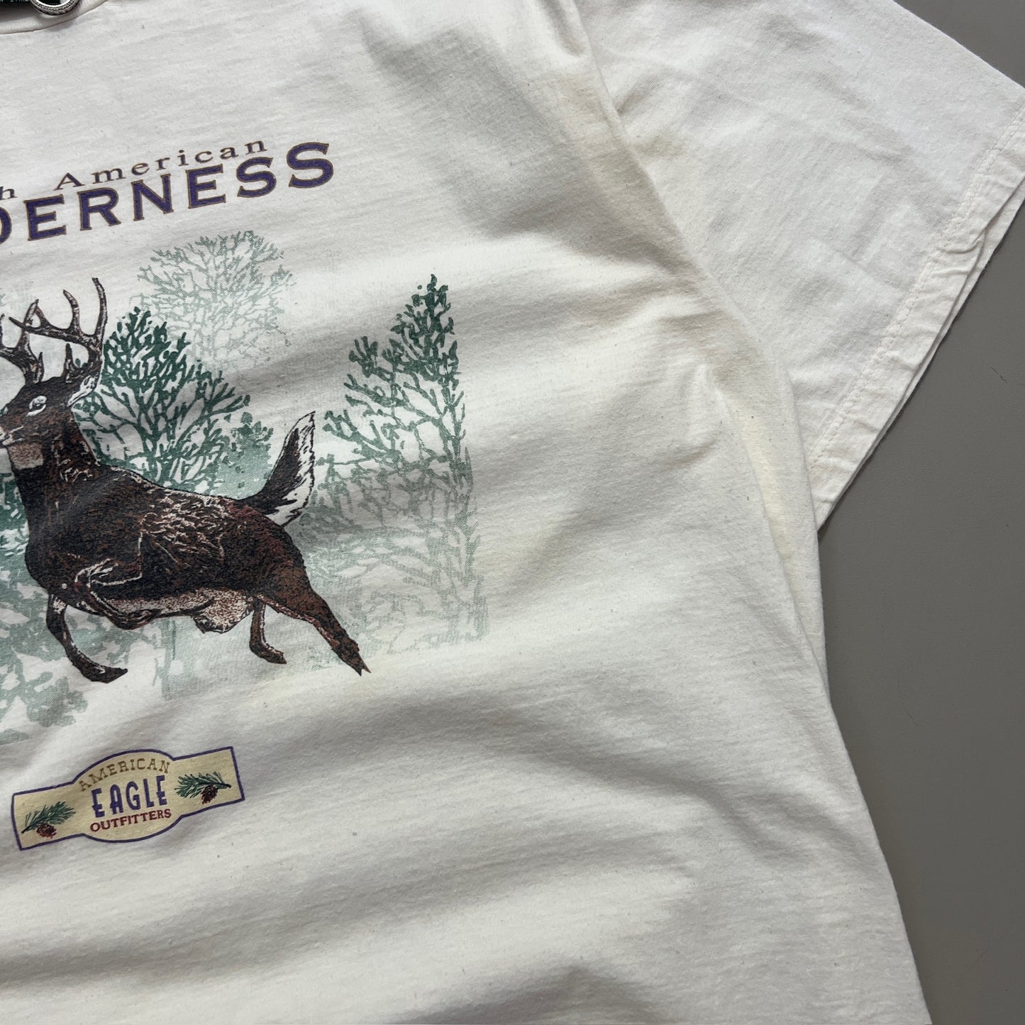 Large 1990s Distressed American Eagle Wilderness T-shirt
