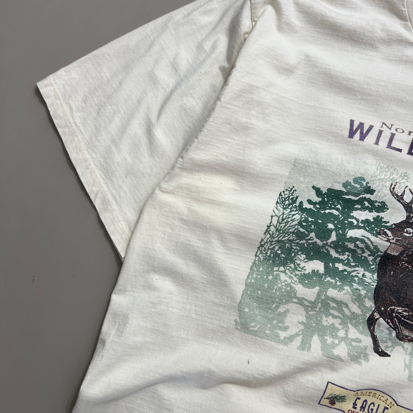 Large 1990s Distressed American Eagle Wilderness T-shirt