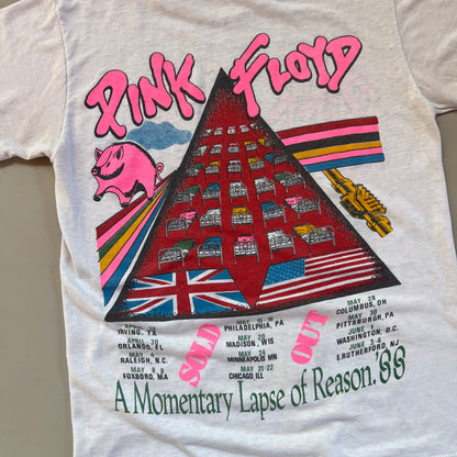 1988 Medium Pink Floyd Momentary Lapse of Reason