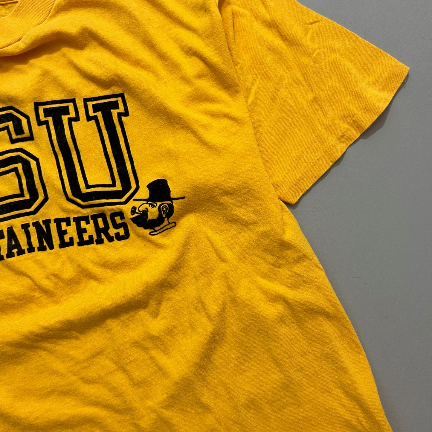 Large 1970s Appalachian State University T-shirt