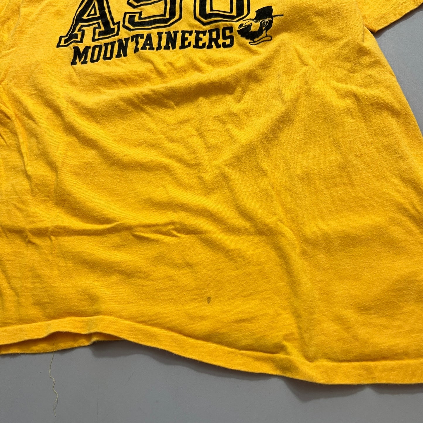 Large 1970s Appalachian State University T-shirt
